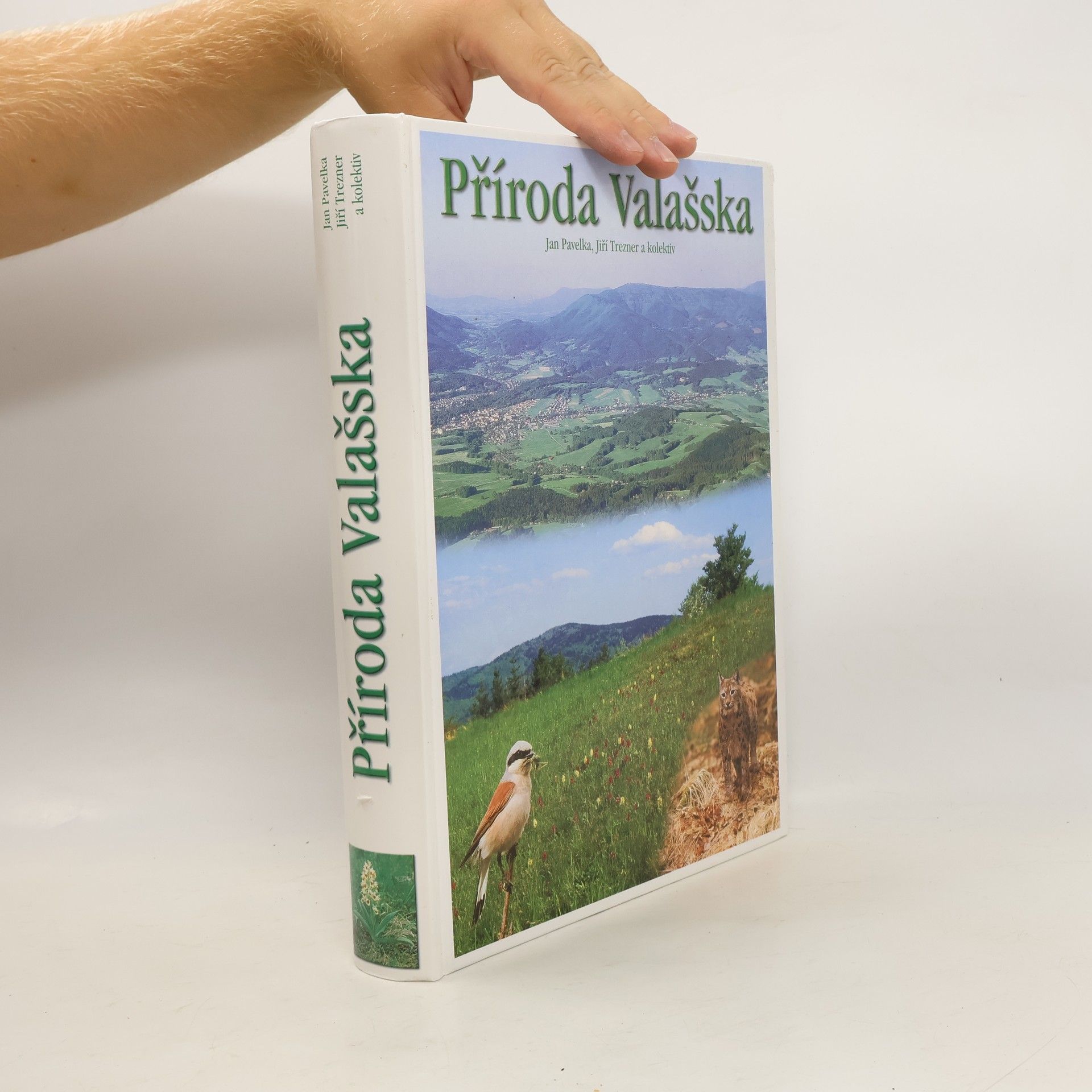 Příroda Valašska : (okres Vsetín)