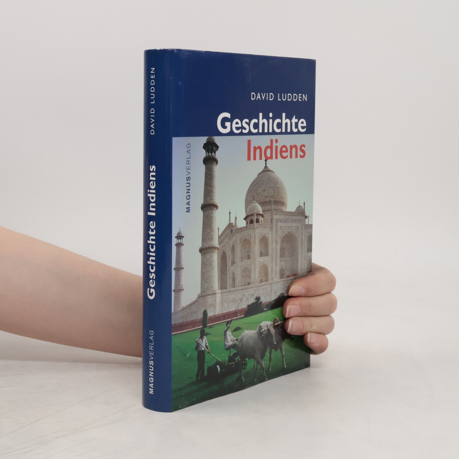 David Ludden Geschichte Indiens