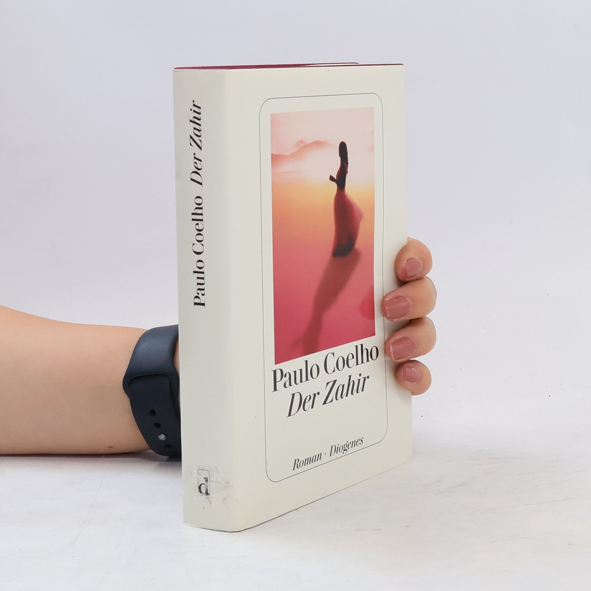 Paulo Coelho Der Zahir