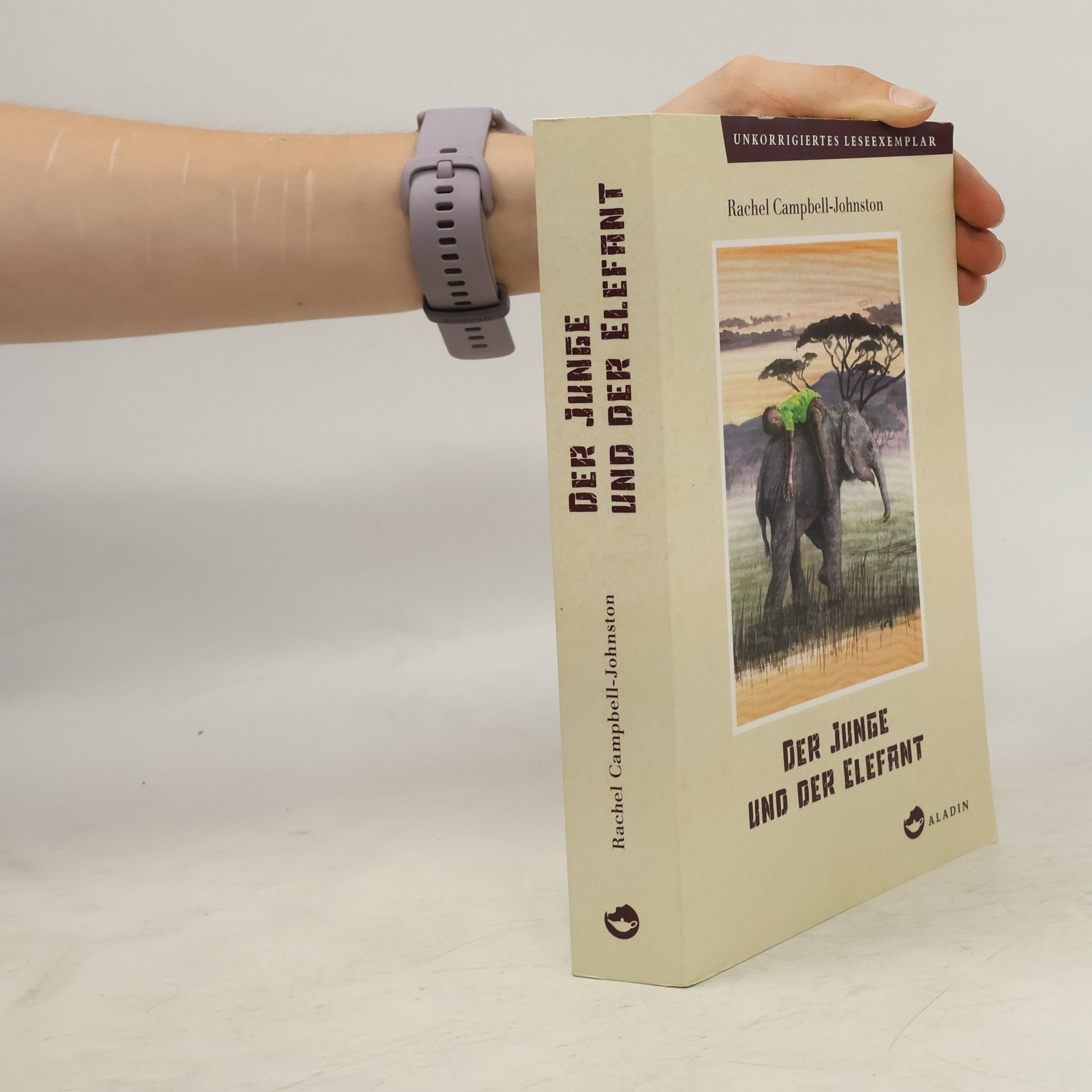Rachel Campbell-Johnston Der Junge und der Elefant