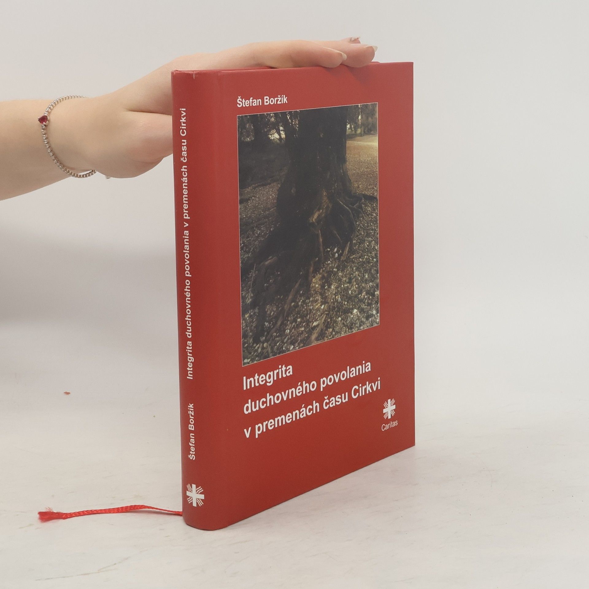 Štefan Boržík Integrita duchovného povolania v premenách času Cirkvi