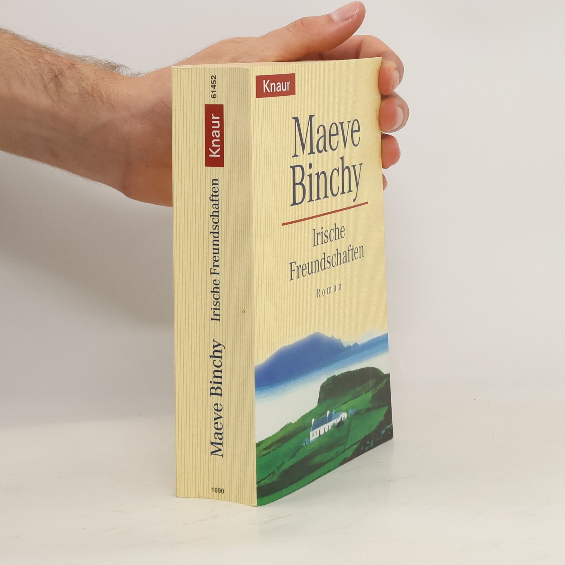 Maeve Binchy Irische Freundschaften