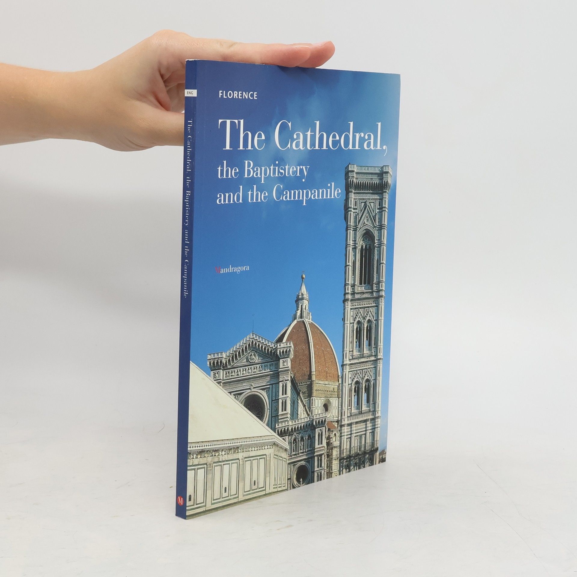 kolektiv The Cathedral, the Baptistery and the Campanile