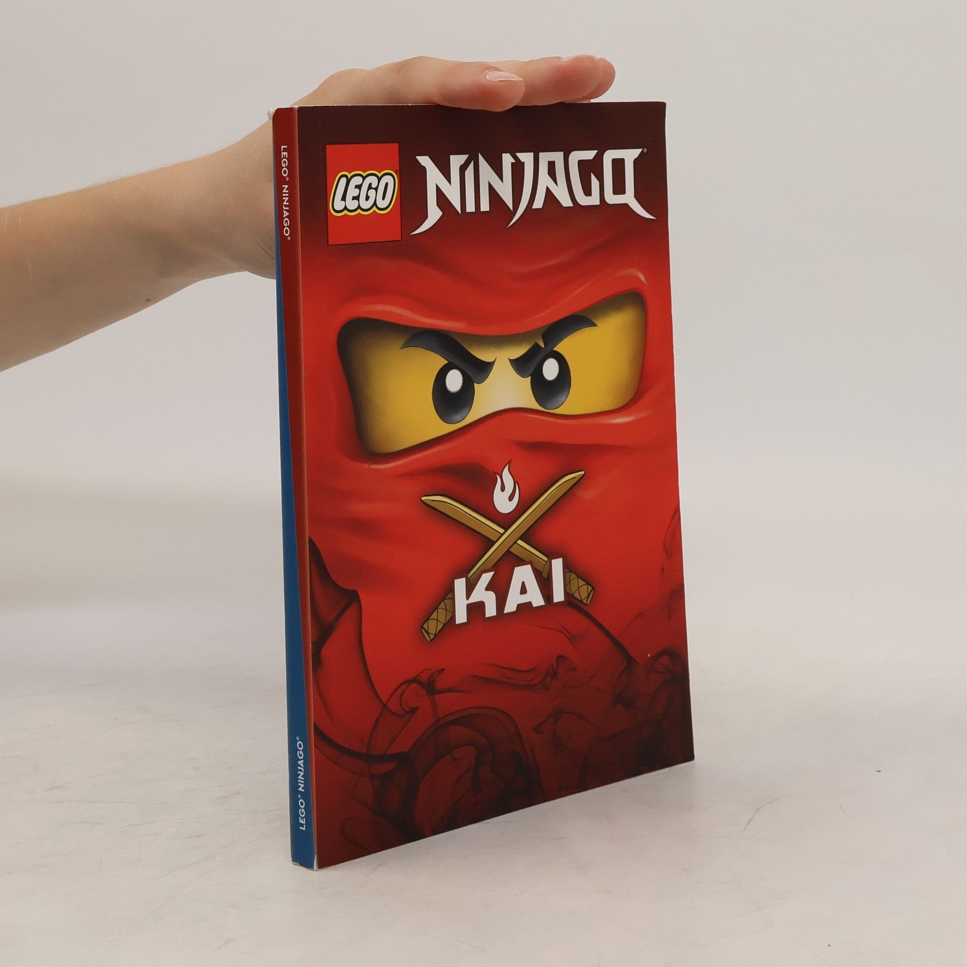 Autorenkollektiv Lego Ninjago. Kai & Jay
