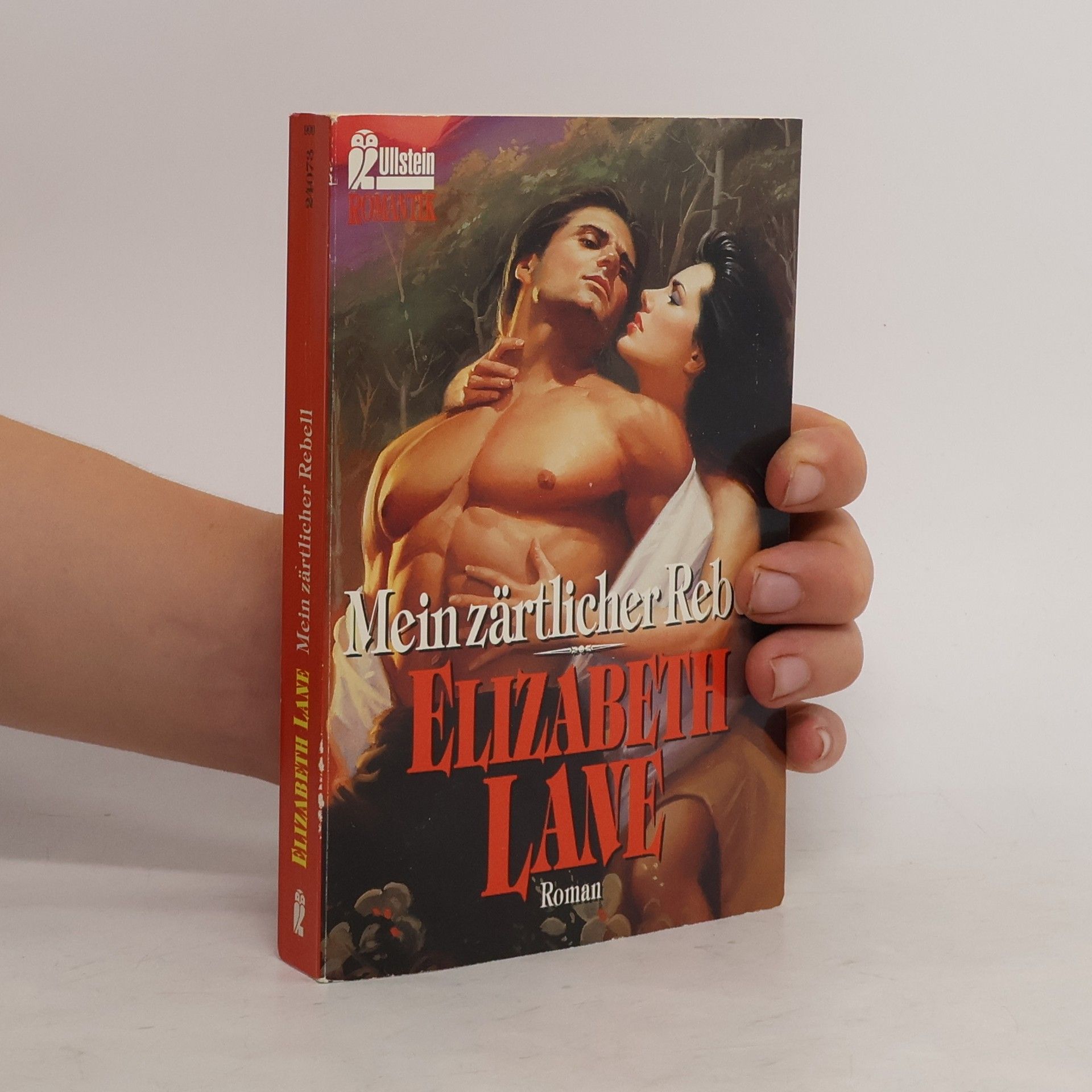 Elizabeth Lane Mein zärtlicher Rebell. Roman