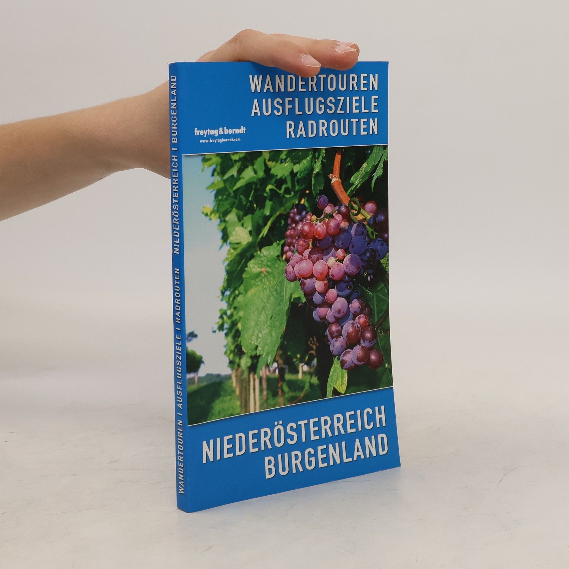 Autorenkollektiv Niederösterreich, Burgenland. Wandertouren, Ausflugsziele, Radrouten