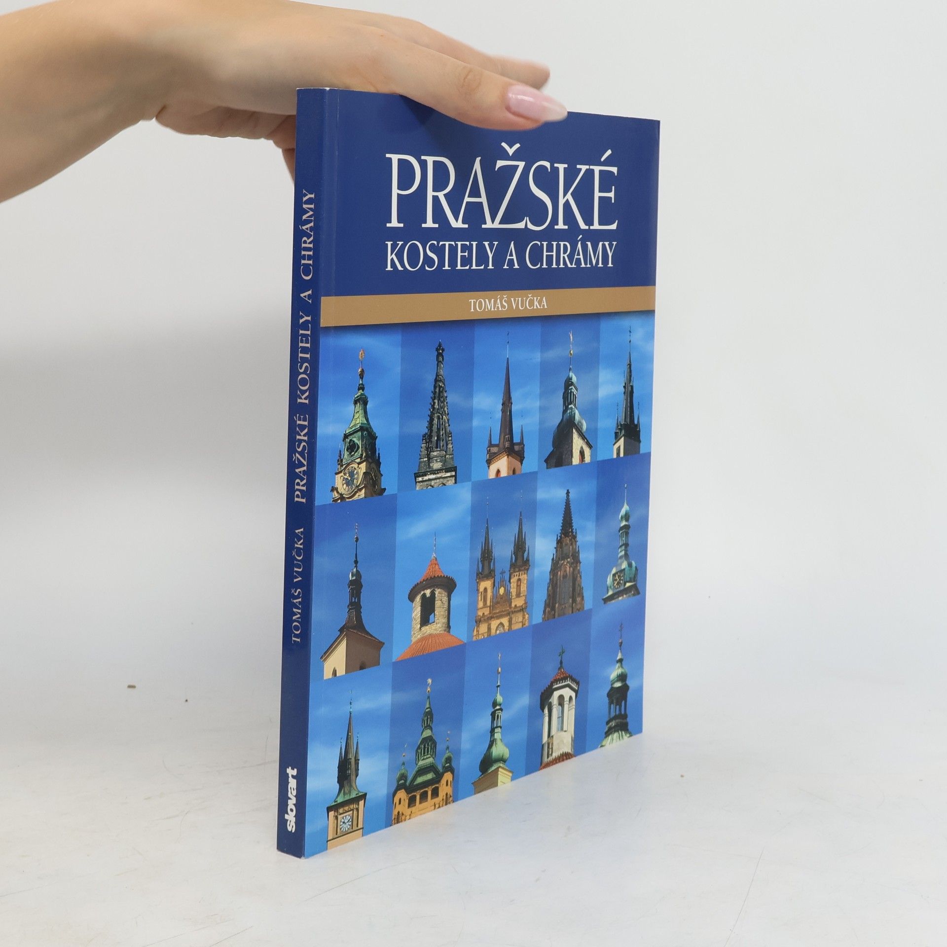 Tomáš Vučka Pražské kostely a chrámy