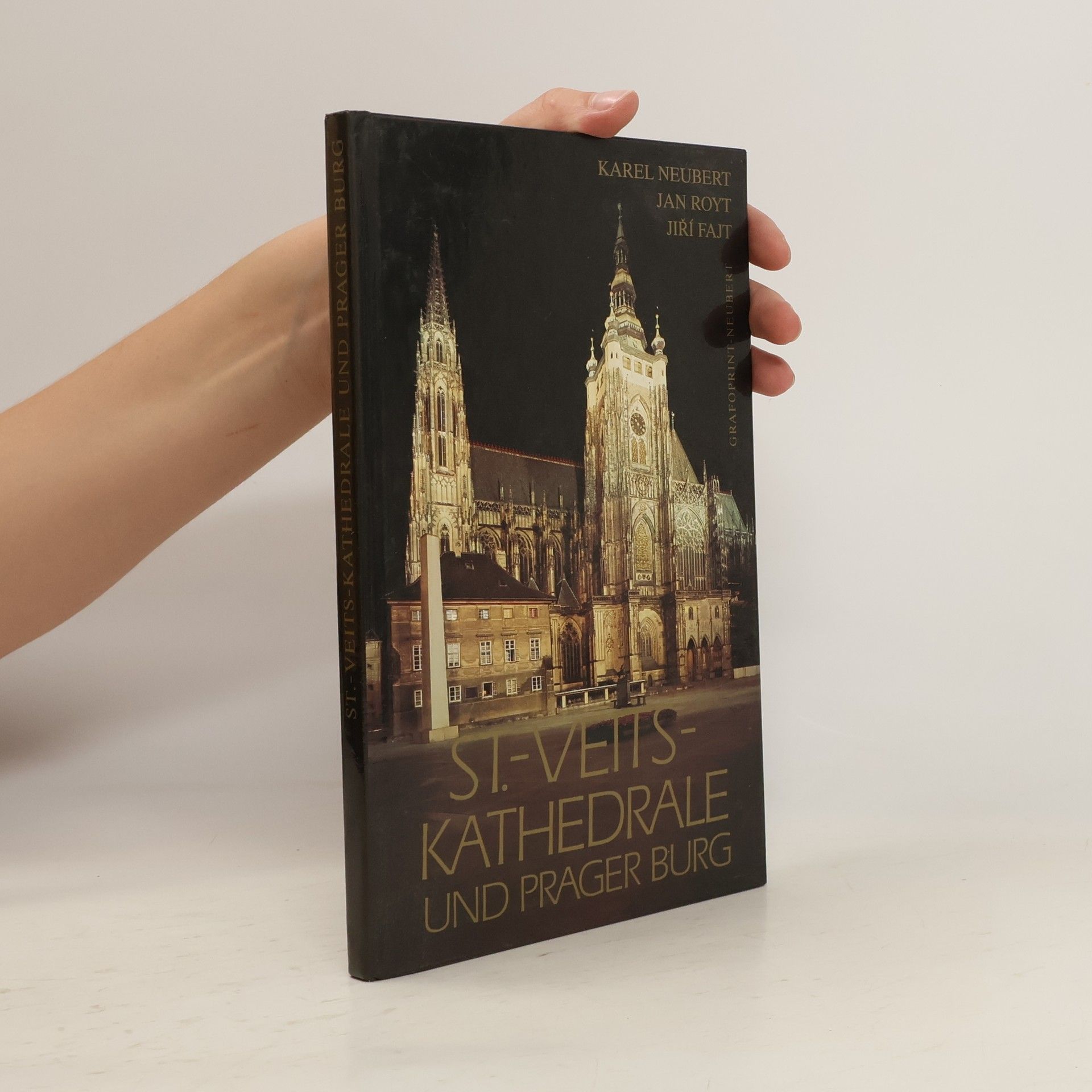 Karel Neubert St.-Veits-Kathedrale und Prager Burg