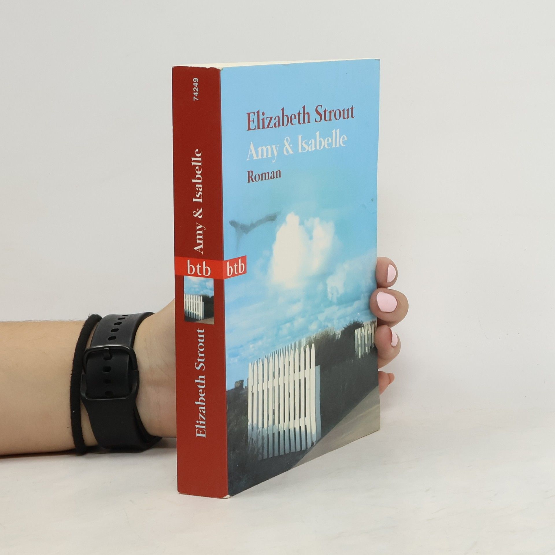 Elizabeth Strout Amy & Isabelle