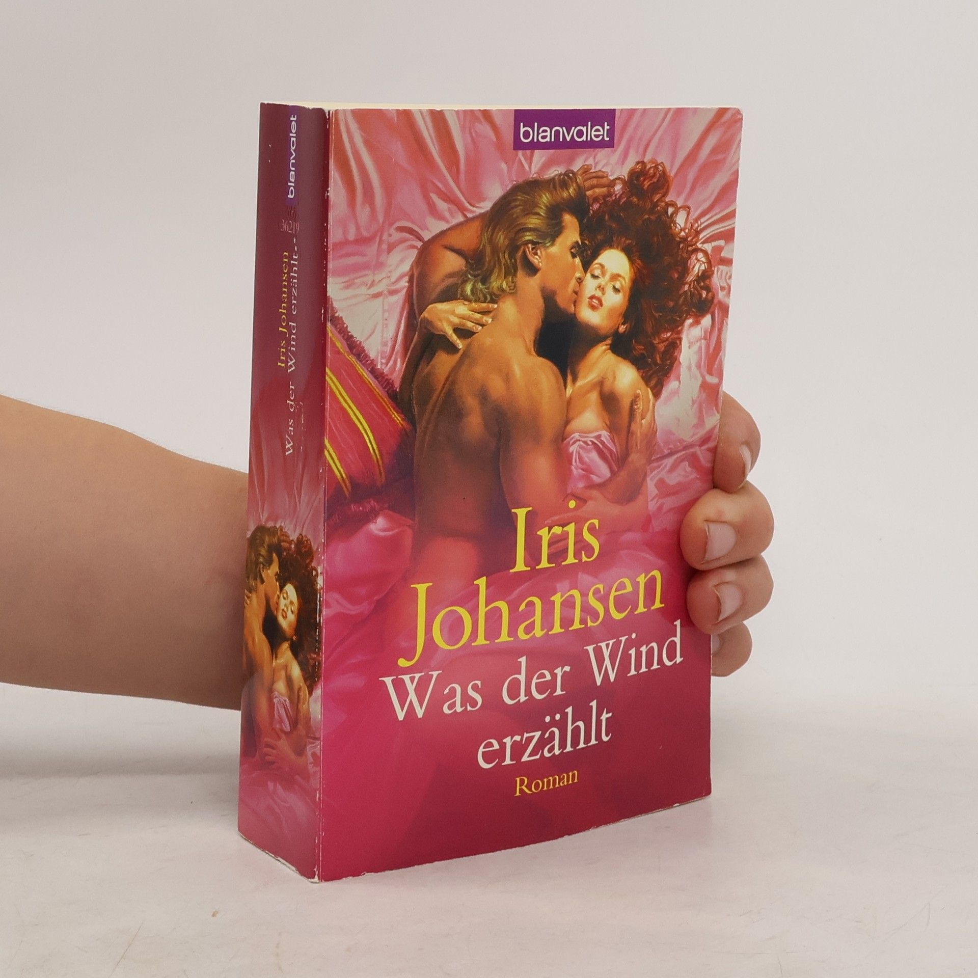 Iris Johansen Was der Wind erzählt