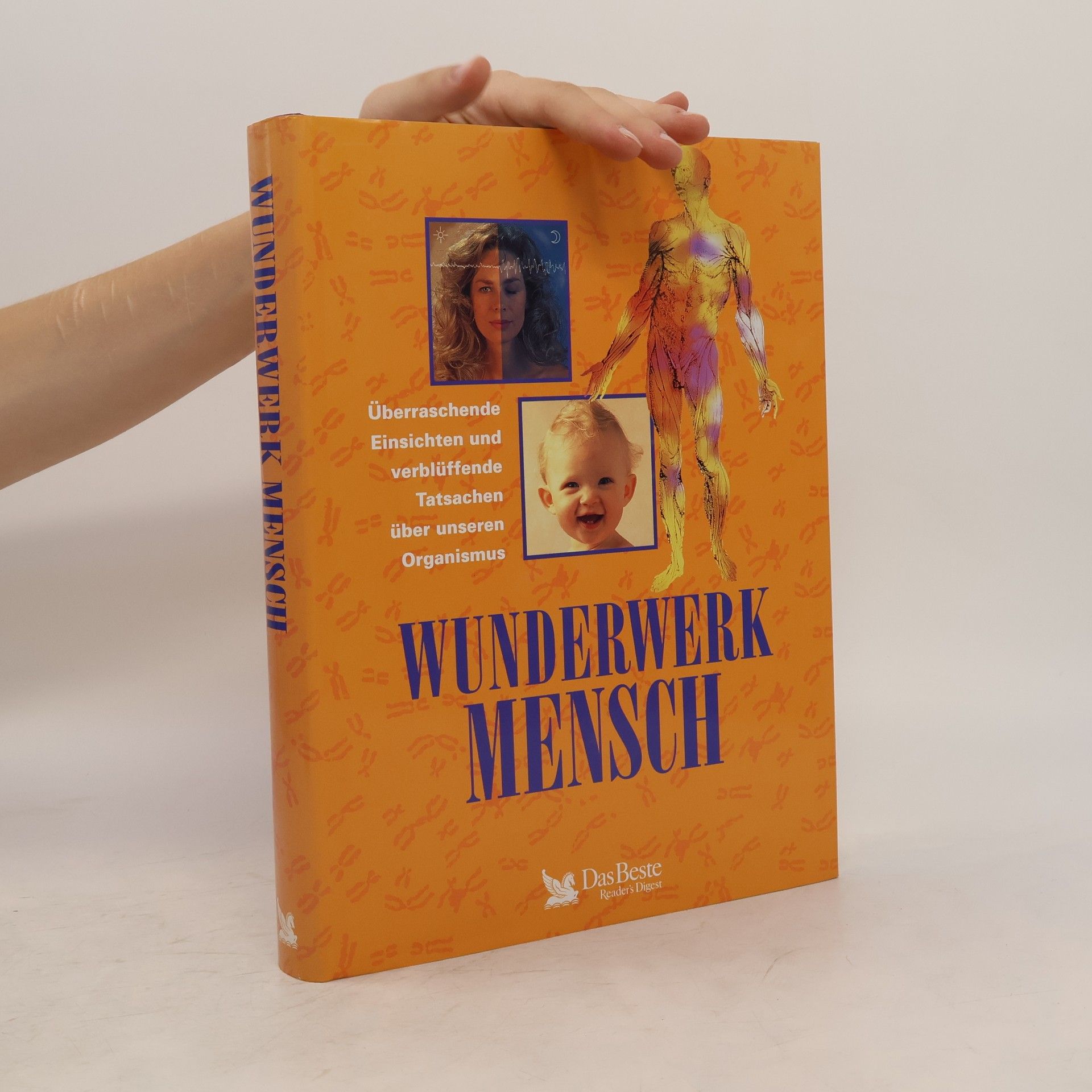 Annette Adams Wunderwerk Mensch