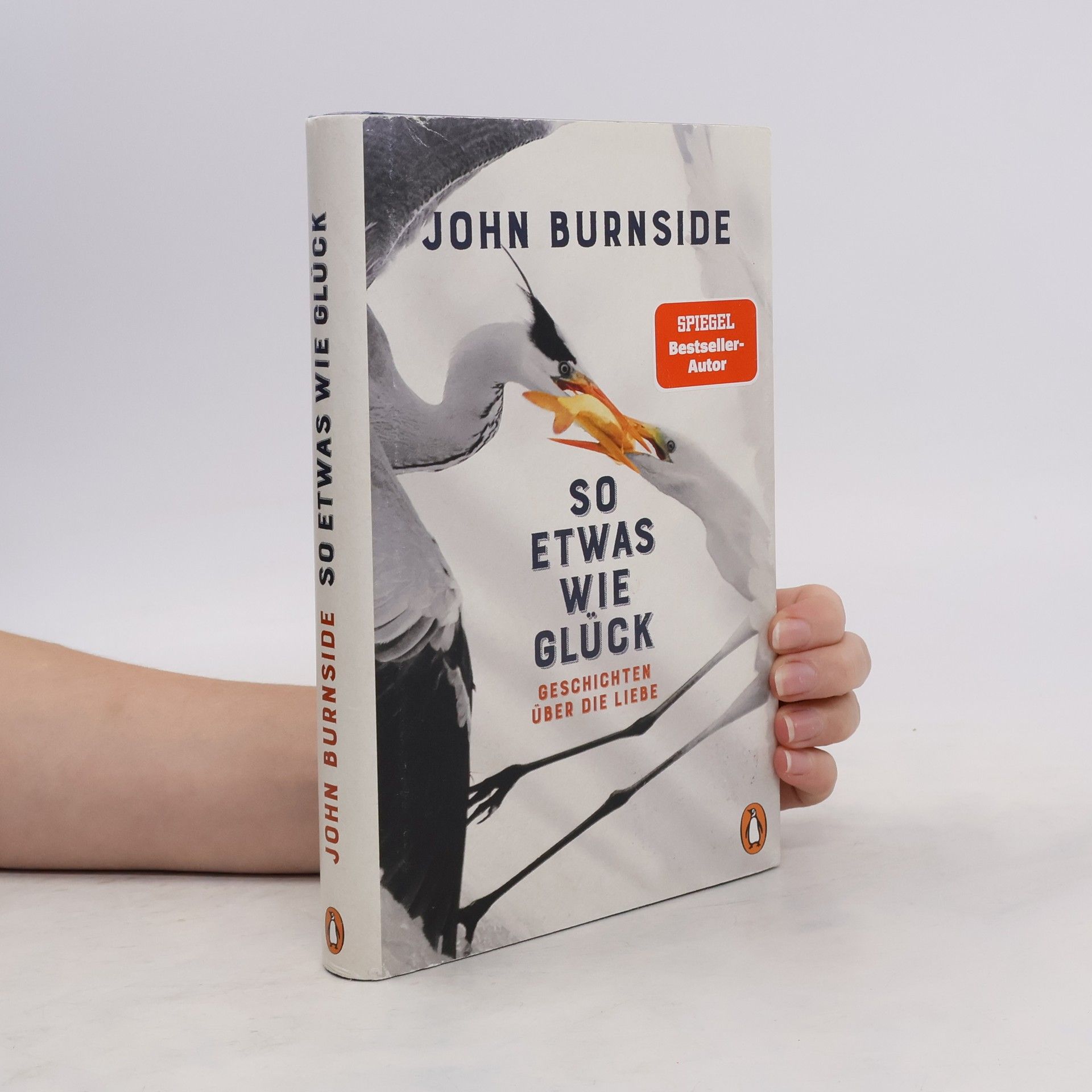 John Burnside So etwas wie Glück