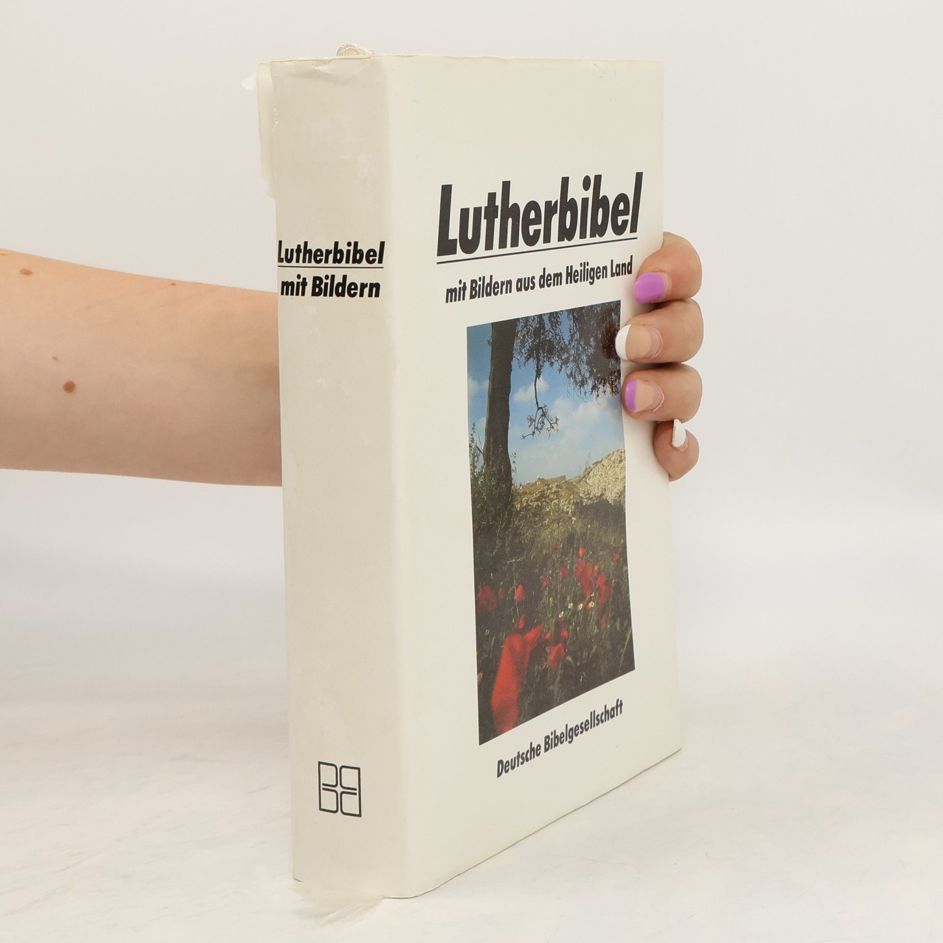 Martin Luther Lutherbibel mit Bildern