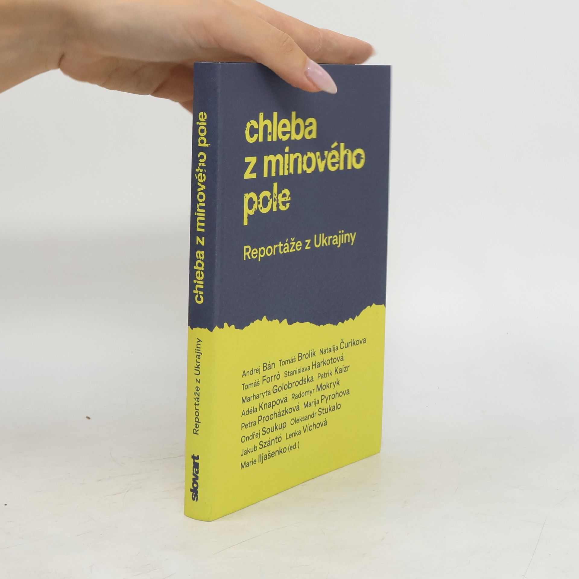 Kolektiv autorů Chleba z minového pole : reportáže z Ukrajiny