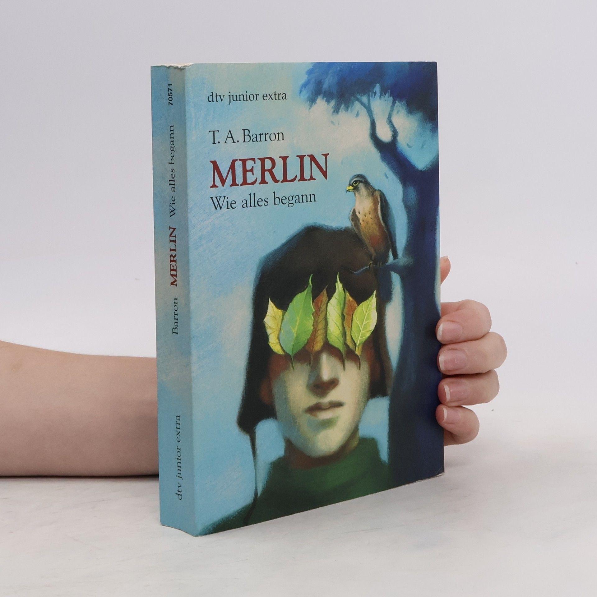 T. A. Barron Merlin. Wie alles begann
