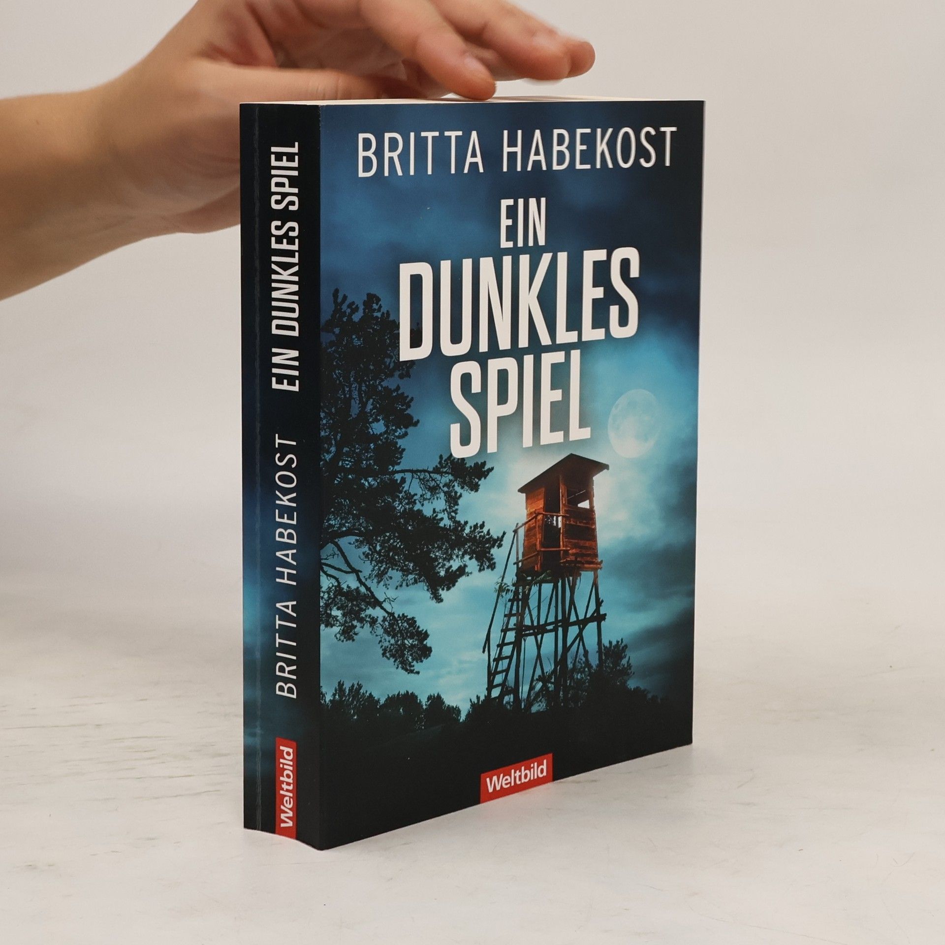 Britta Habekost Ein dunkles Spiel