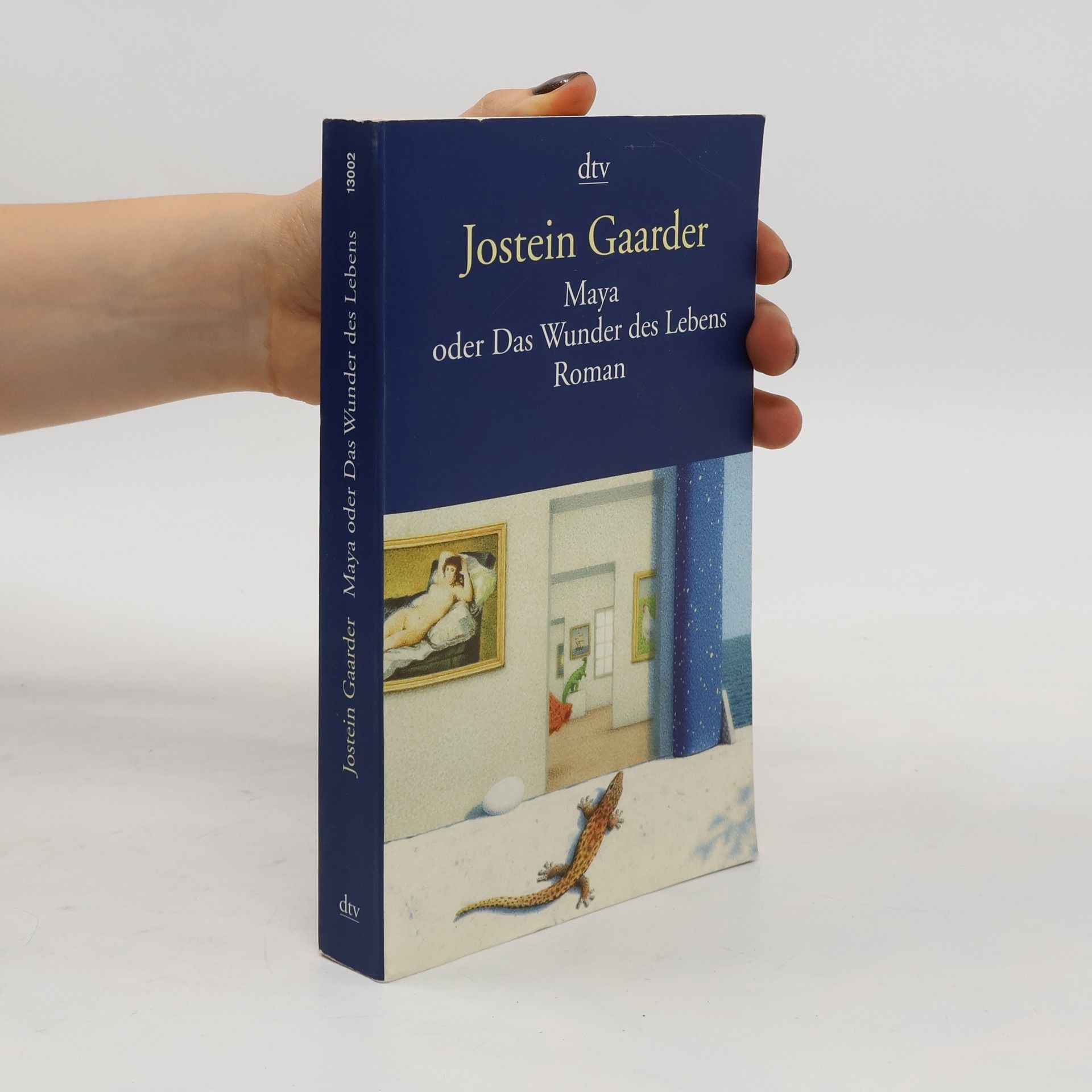 Jostein Gaarder Maya oder Das Wunder des Lebens