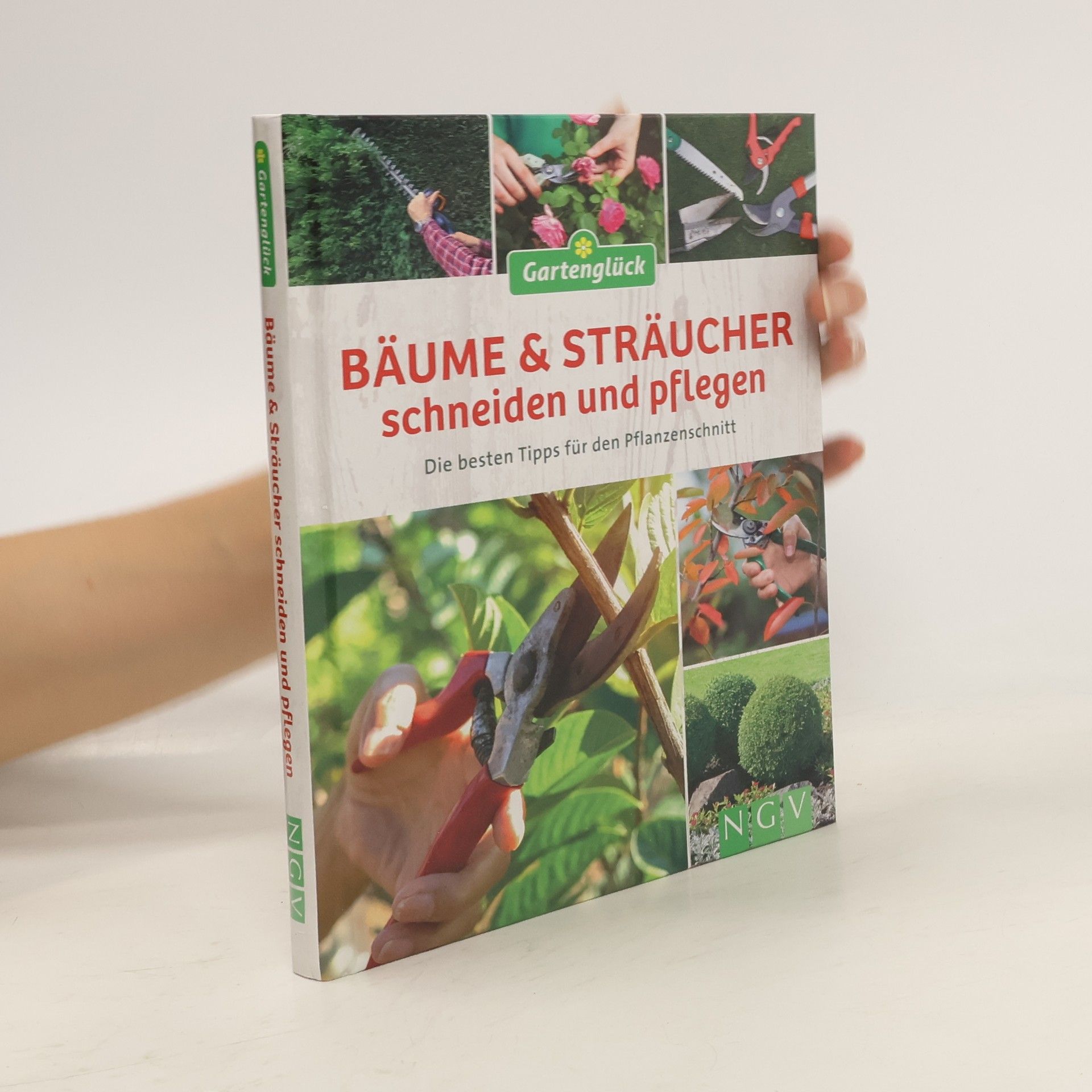 Autores varios Bäume und Sträucher schneiden und pflegen