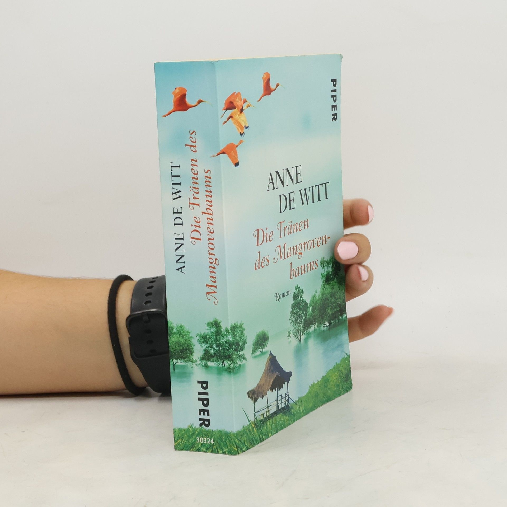 Anne de Witt Die Tränen des Mangrovenbaums