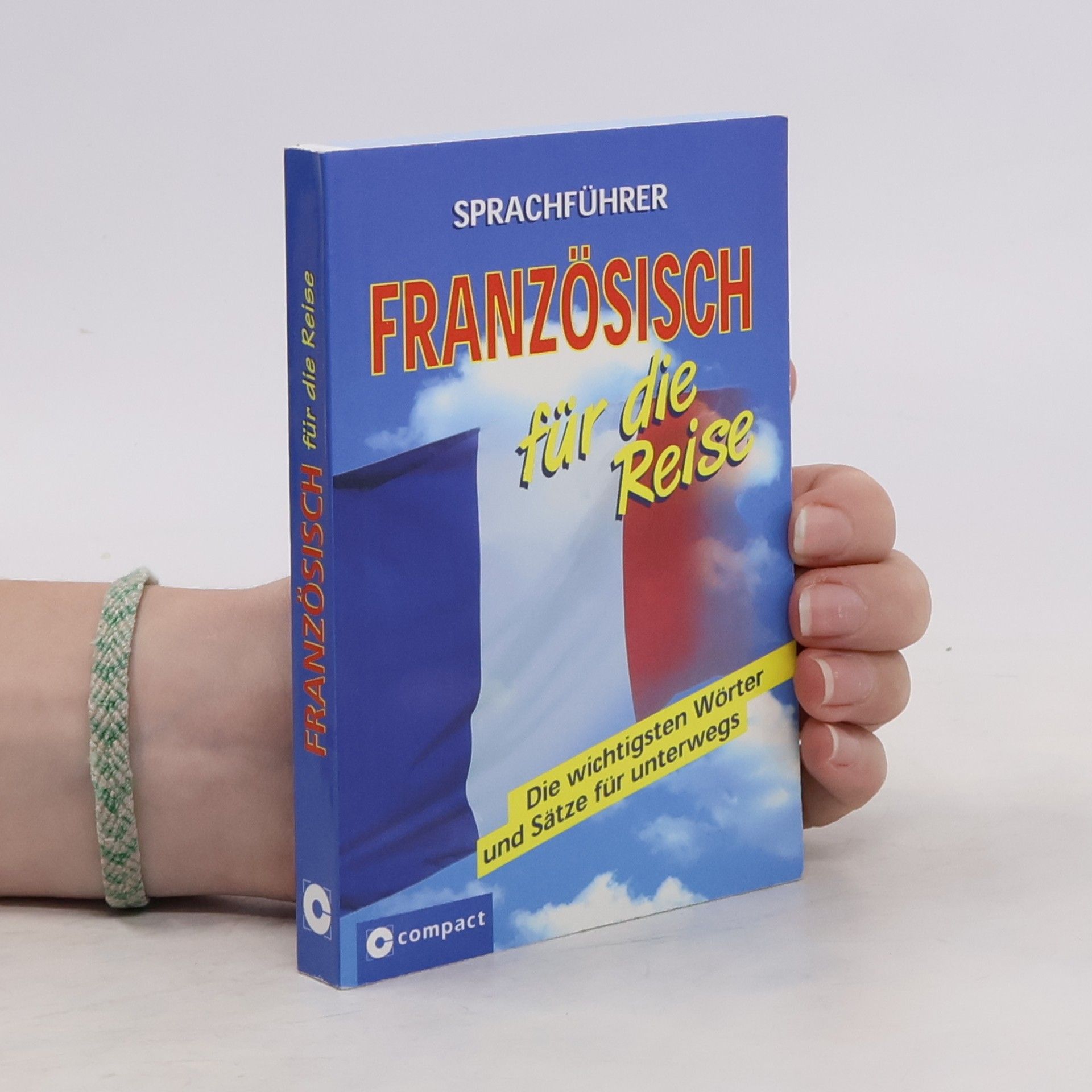 Mike Hillenbrand Sprachführer Französisch für die Reise