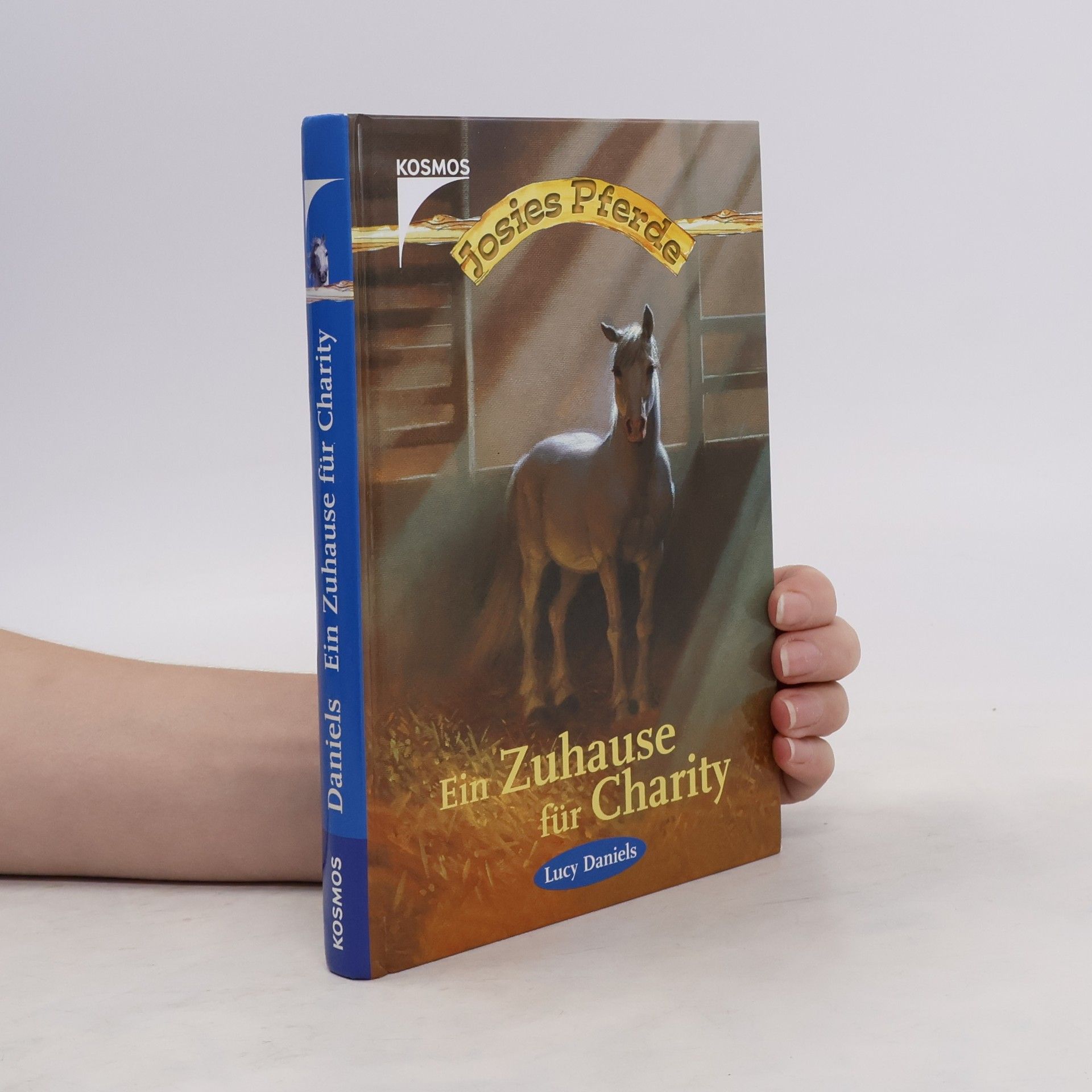 Lucy Daniels Ein Zuhause für Charity