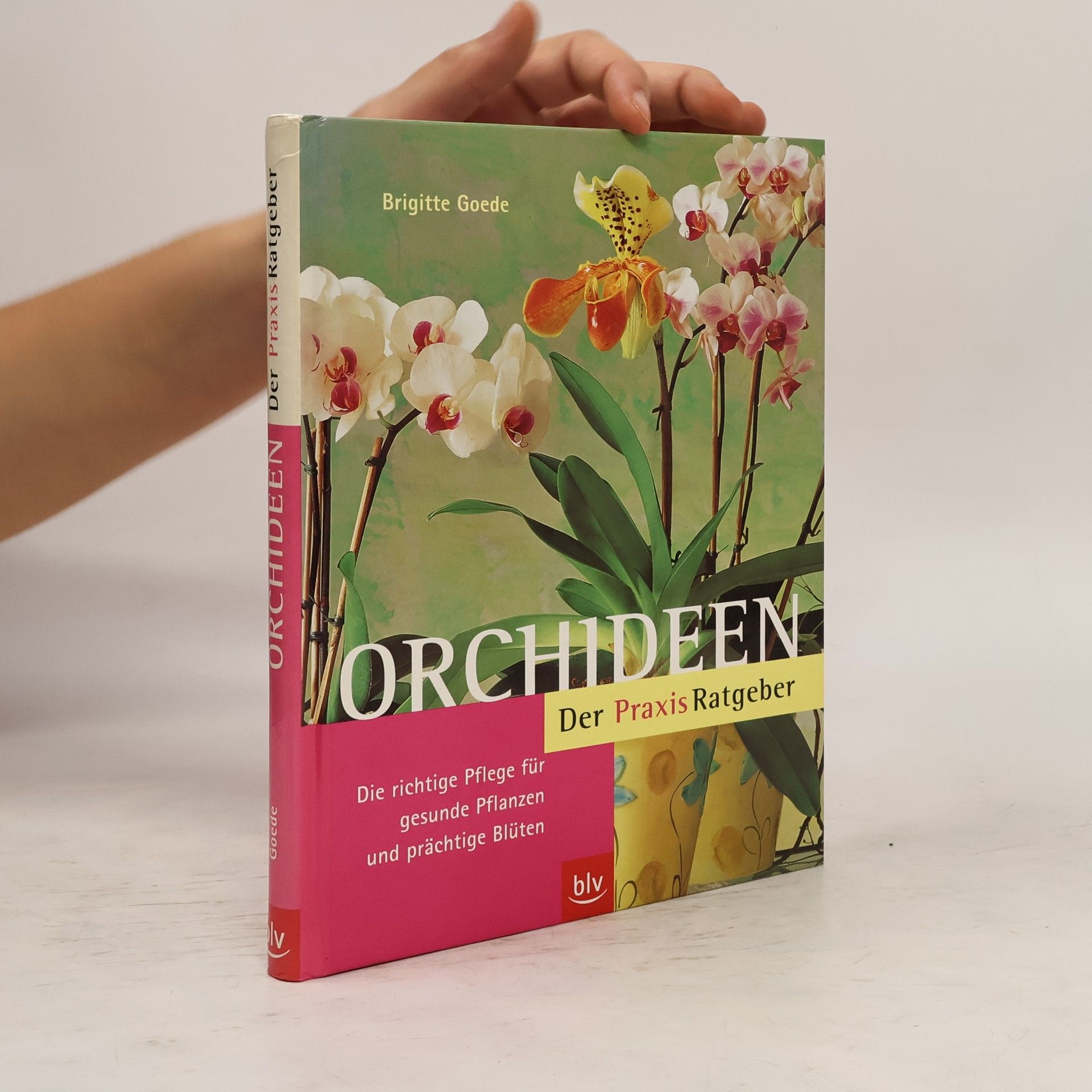 Brigitte Goede Orchideen