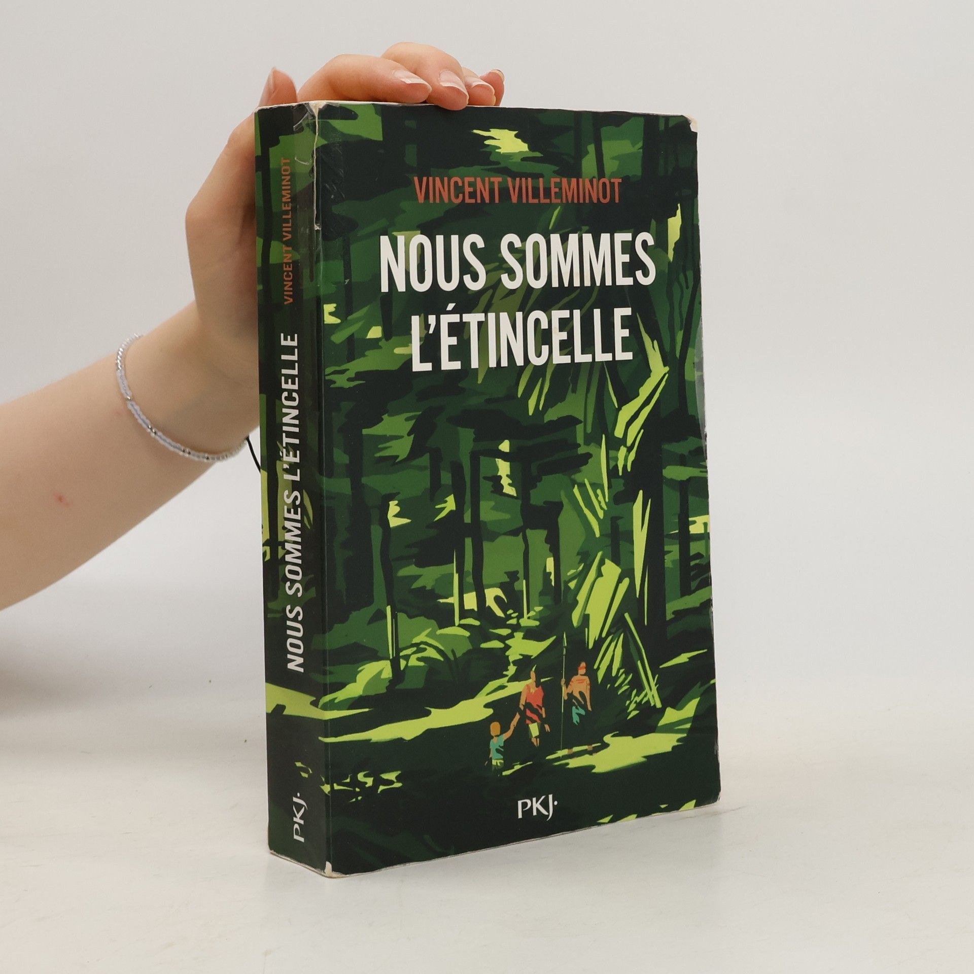 Vincent Villeminot Nous sommes l'étincelle
