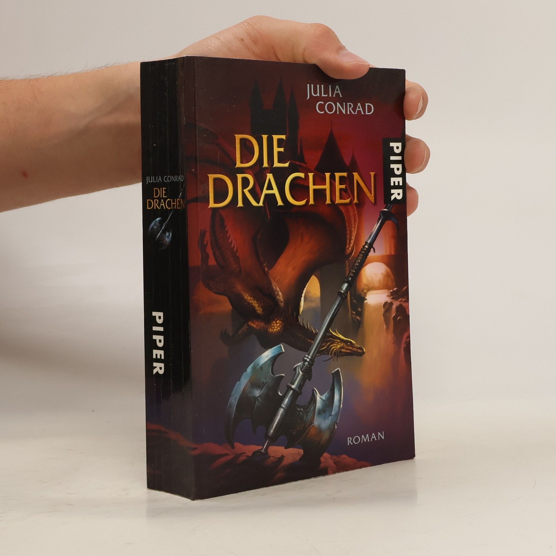 Julia Conrad Die Drachen