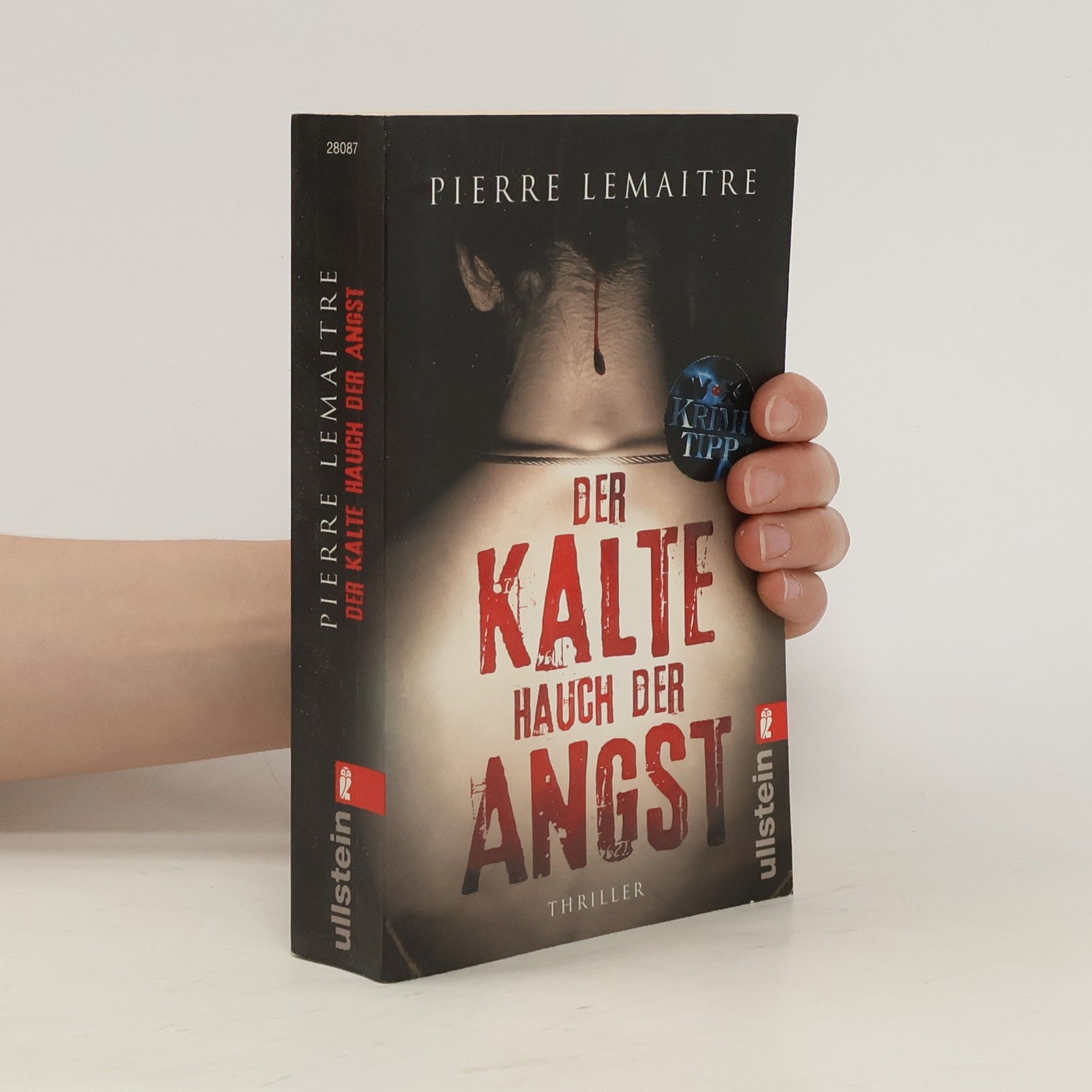 Pierre Lemaitre Der Kalte Hauch der Angst