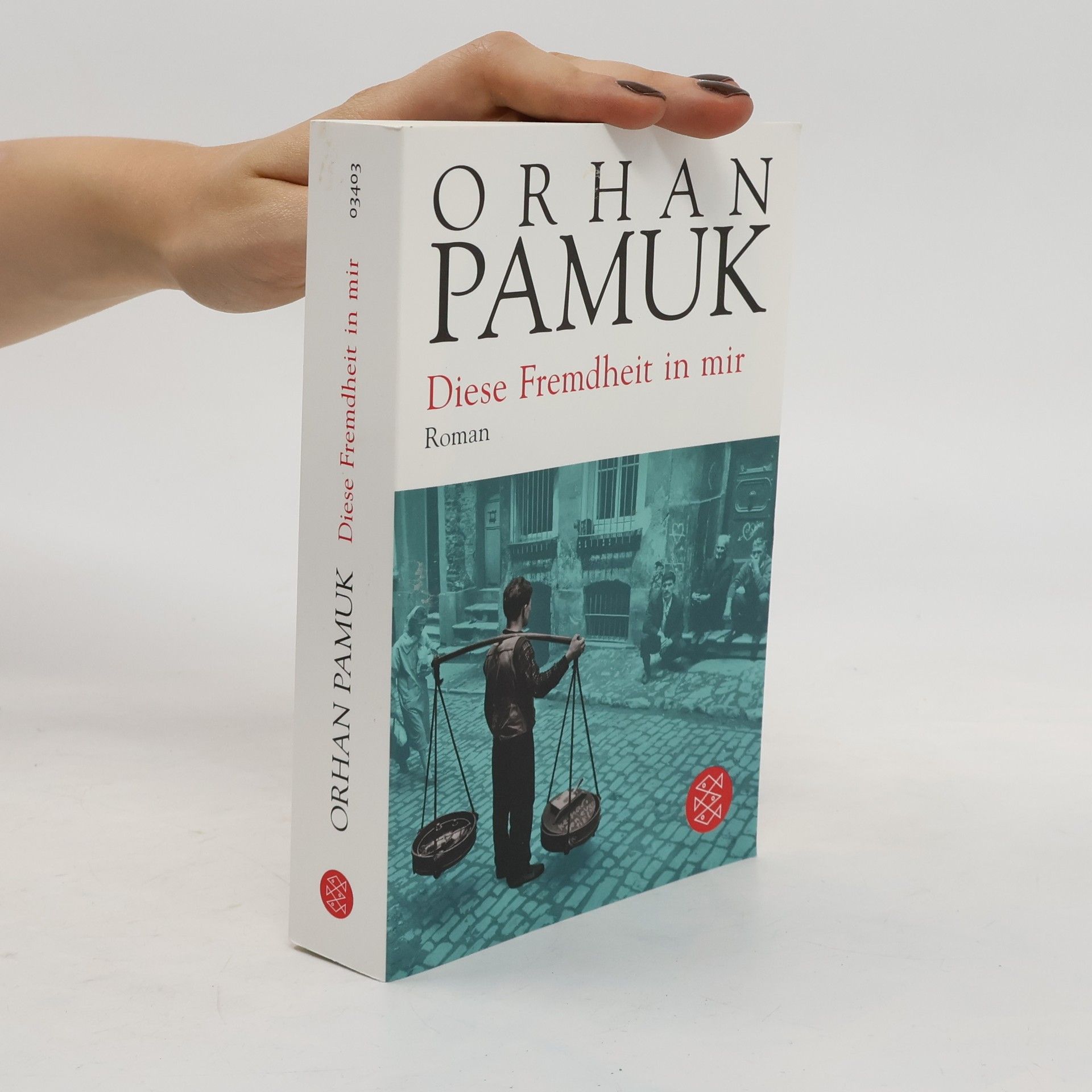 Orhan Pamuk Diese Fremdheit in mir