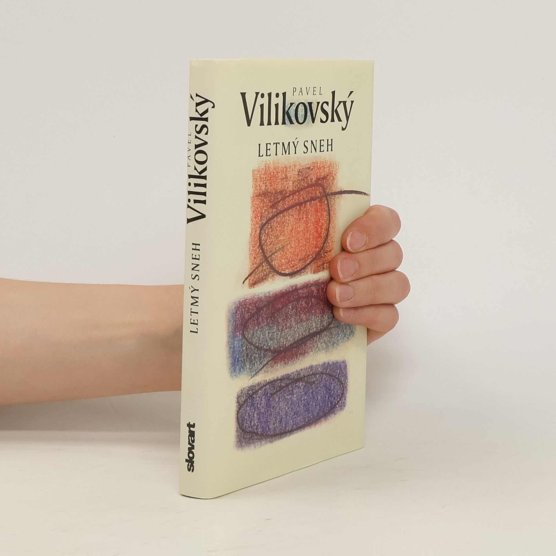 Pavel Vilikovský Letmý sneh