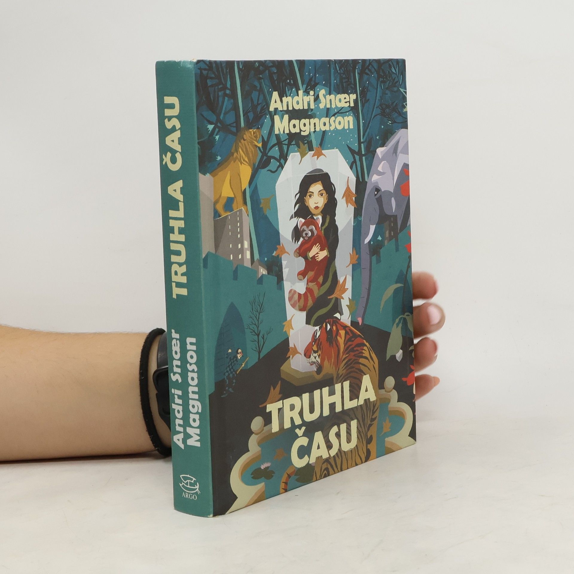 Magnason Andri Snaer Truhla času