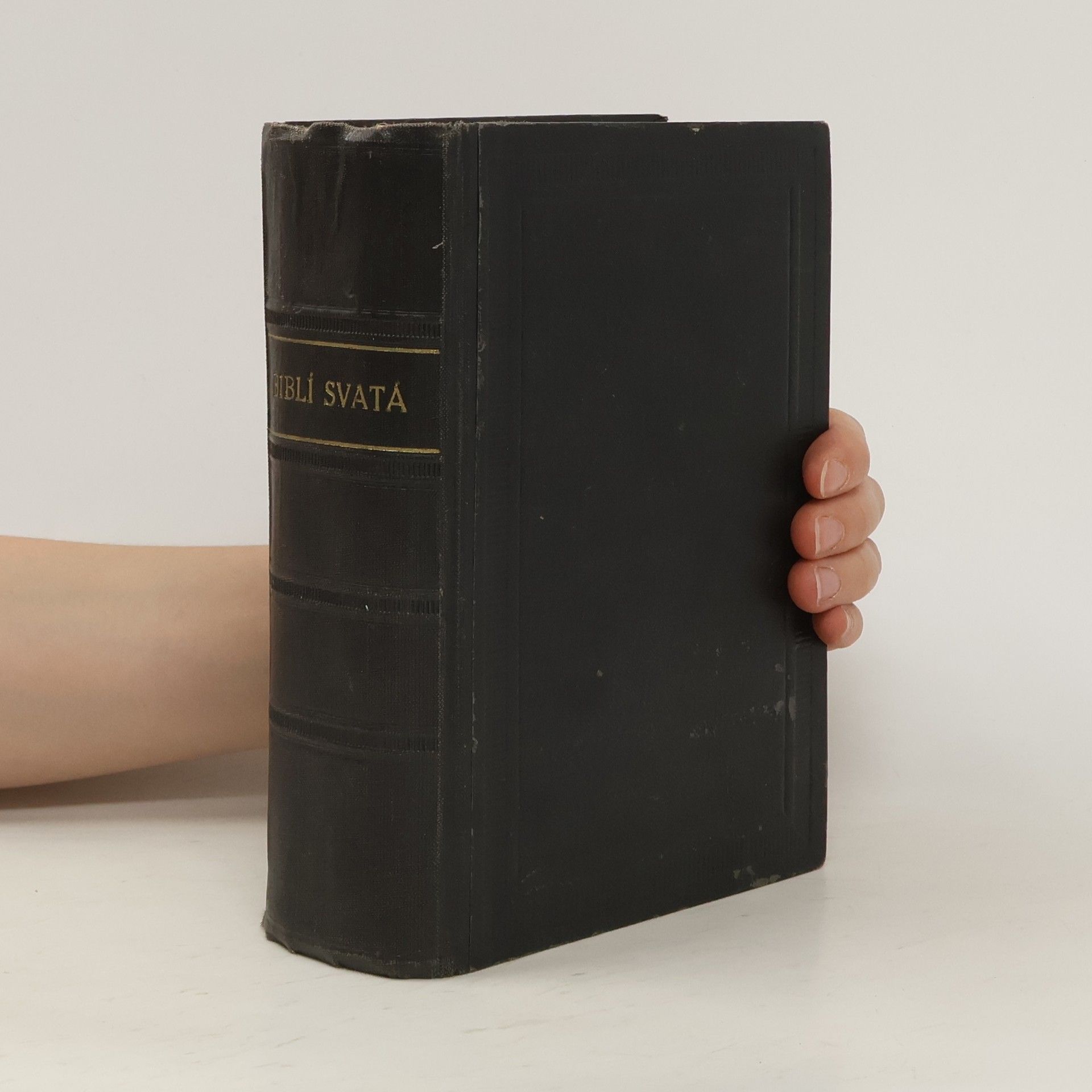 AA.VV. Biblí svatá aneb všecka svatá písma Starého i Nového zákona