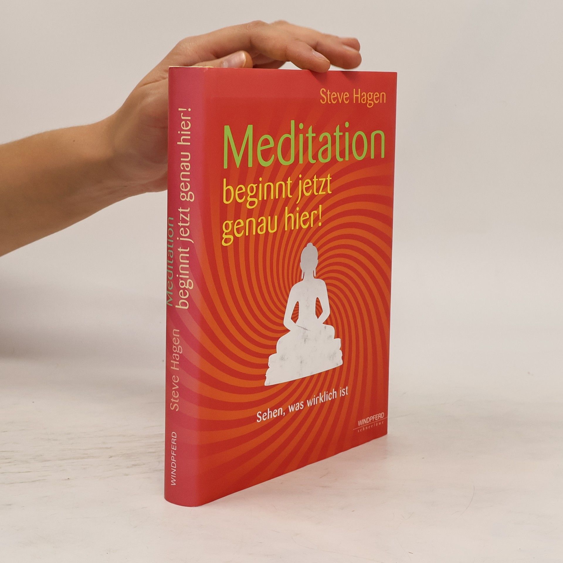Steve Hagen Meditation beginnt jetzt genau hier!