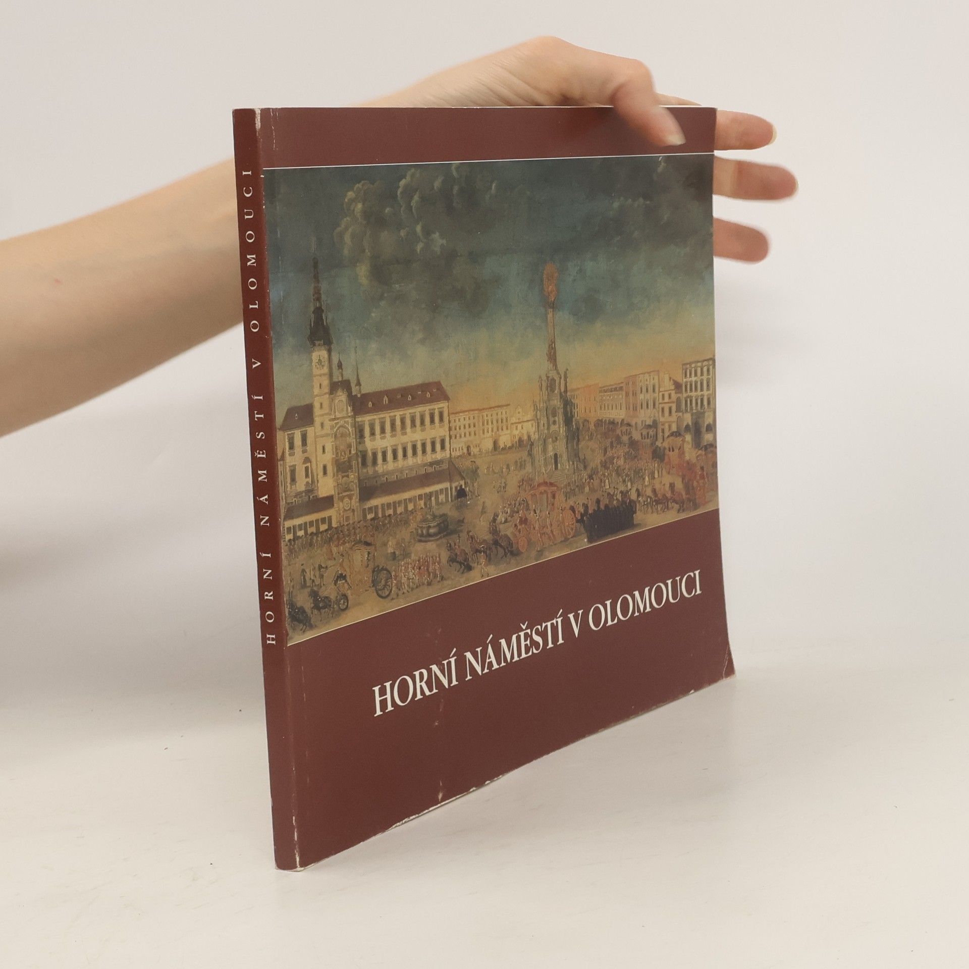 Kolektiv autorů Horní náměstí v Olomouci