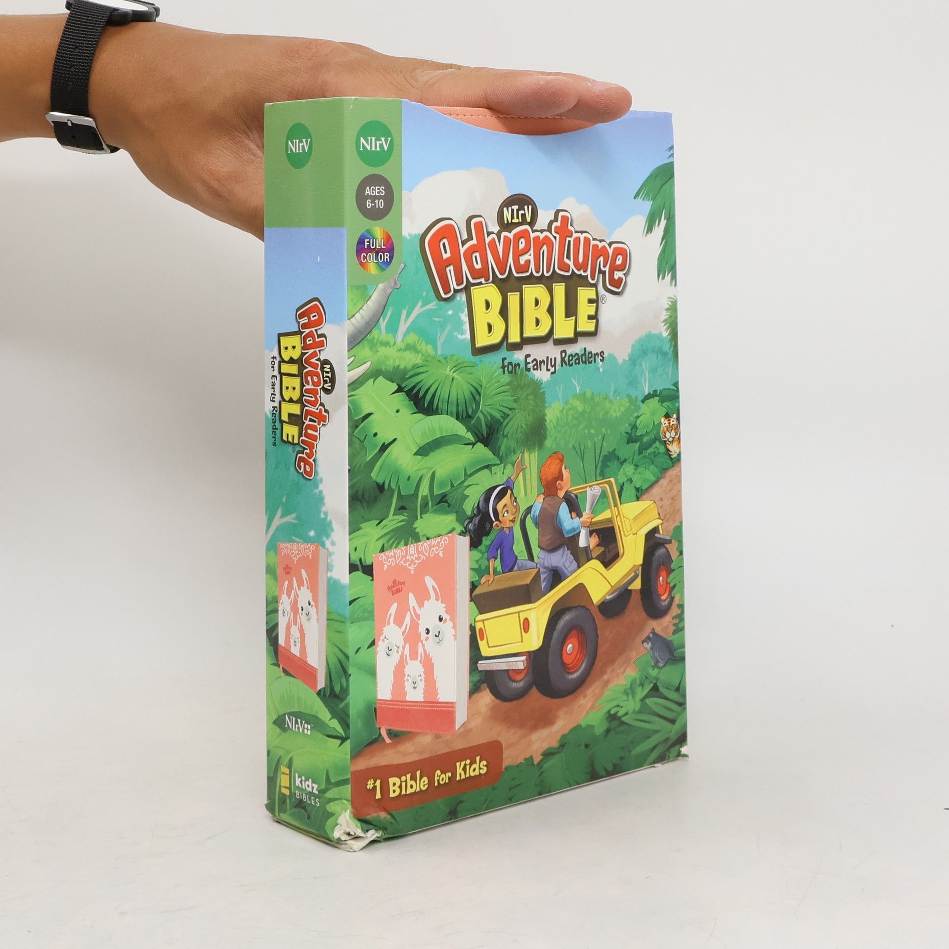 Lawrence O. Richards NIrV, Adventure Bible for Early Readers, Leathersoft, Coral, Full Color