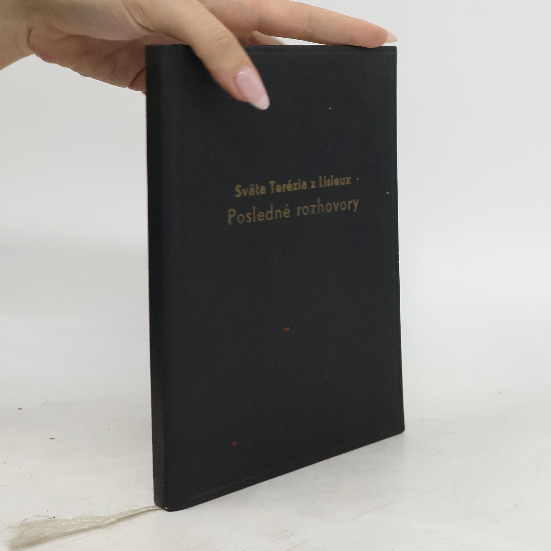 AA.VV. Posledné rozhovory so svätou Teréziou z Lisieux