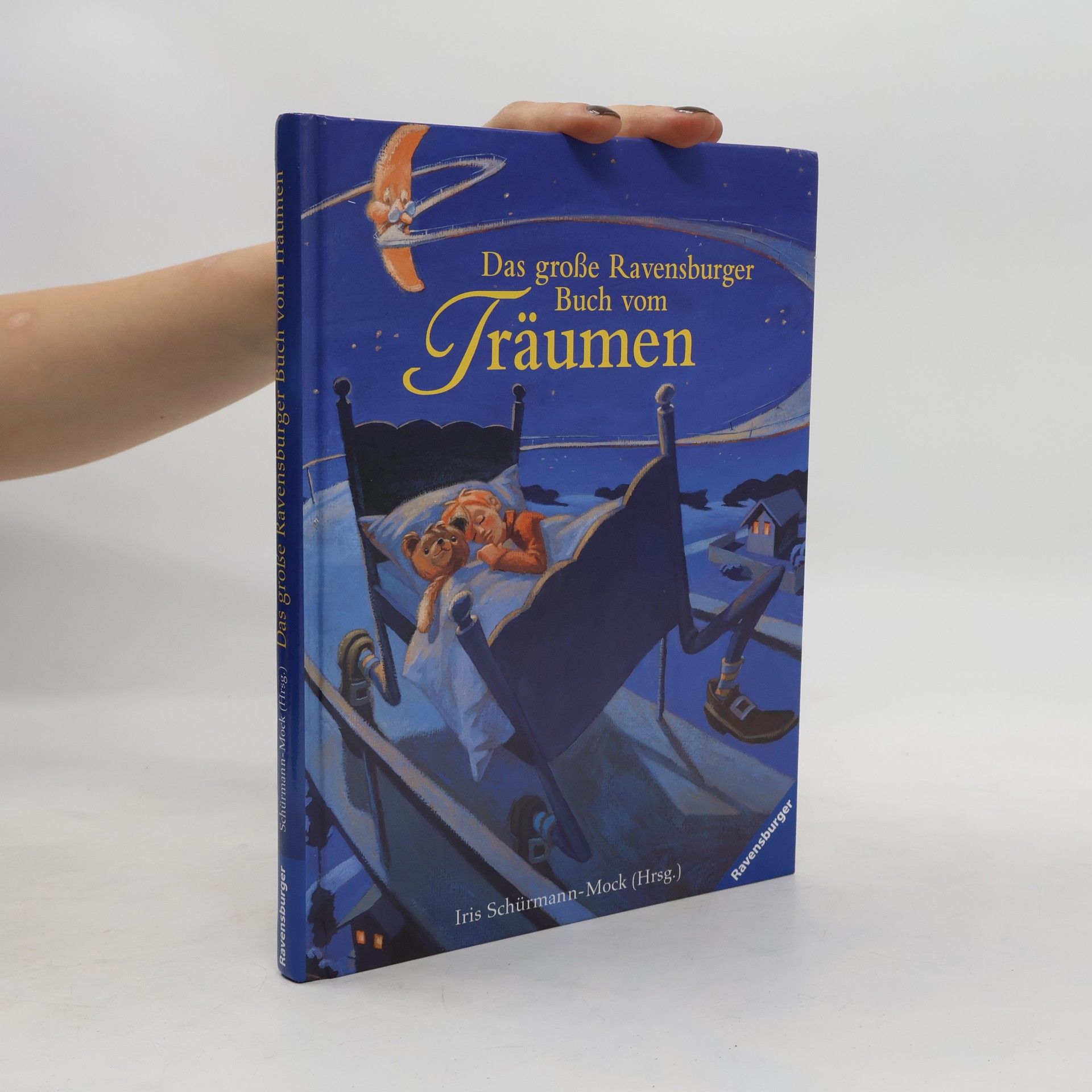 Iris Schürmann-Mock Das große Ravensburger Buch vom Träumen