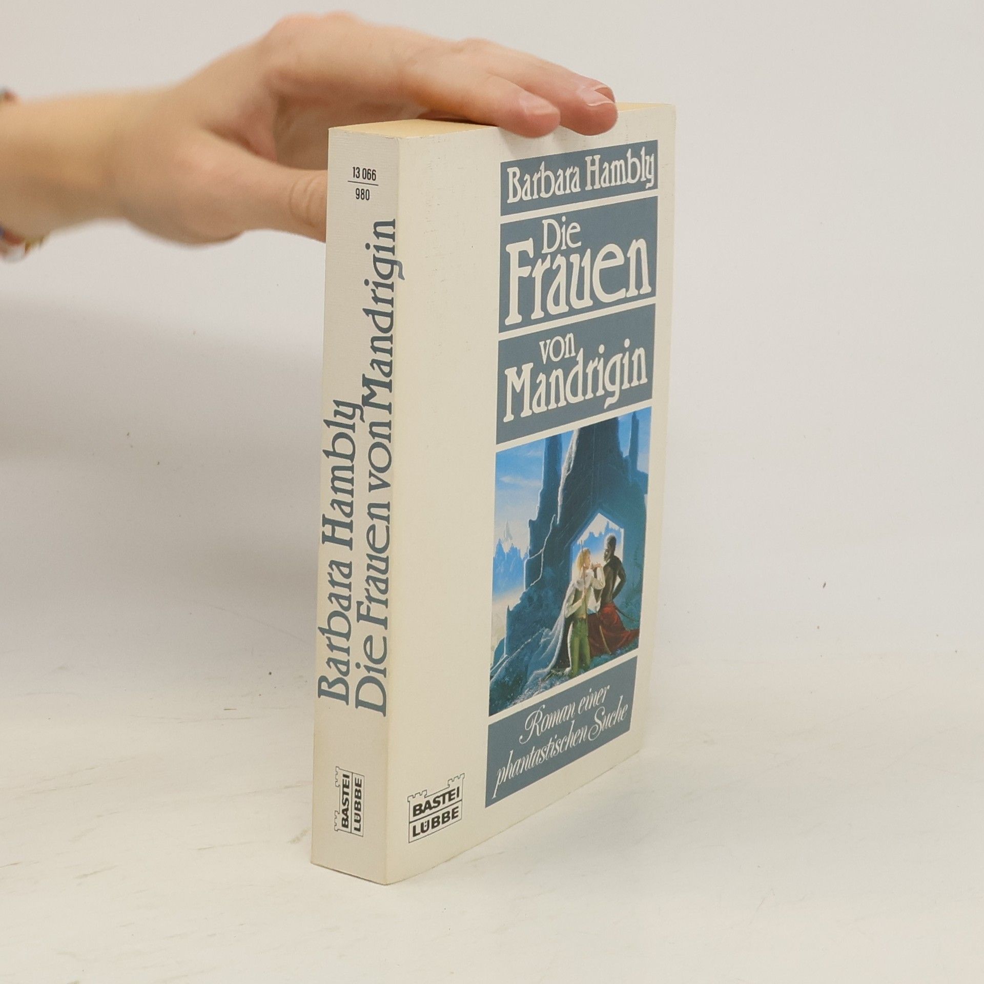Barbara Hambly Die Frauen von Mandrigin. Roman e. phantastischen Suche