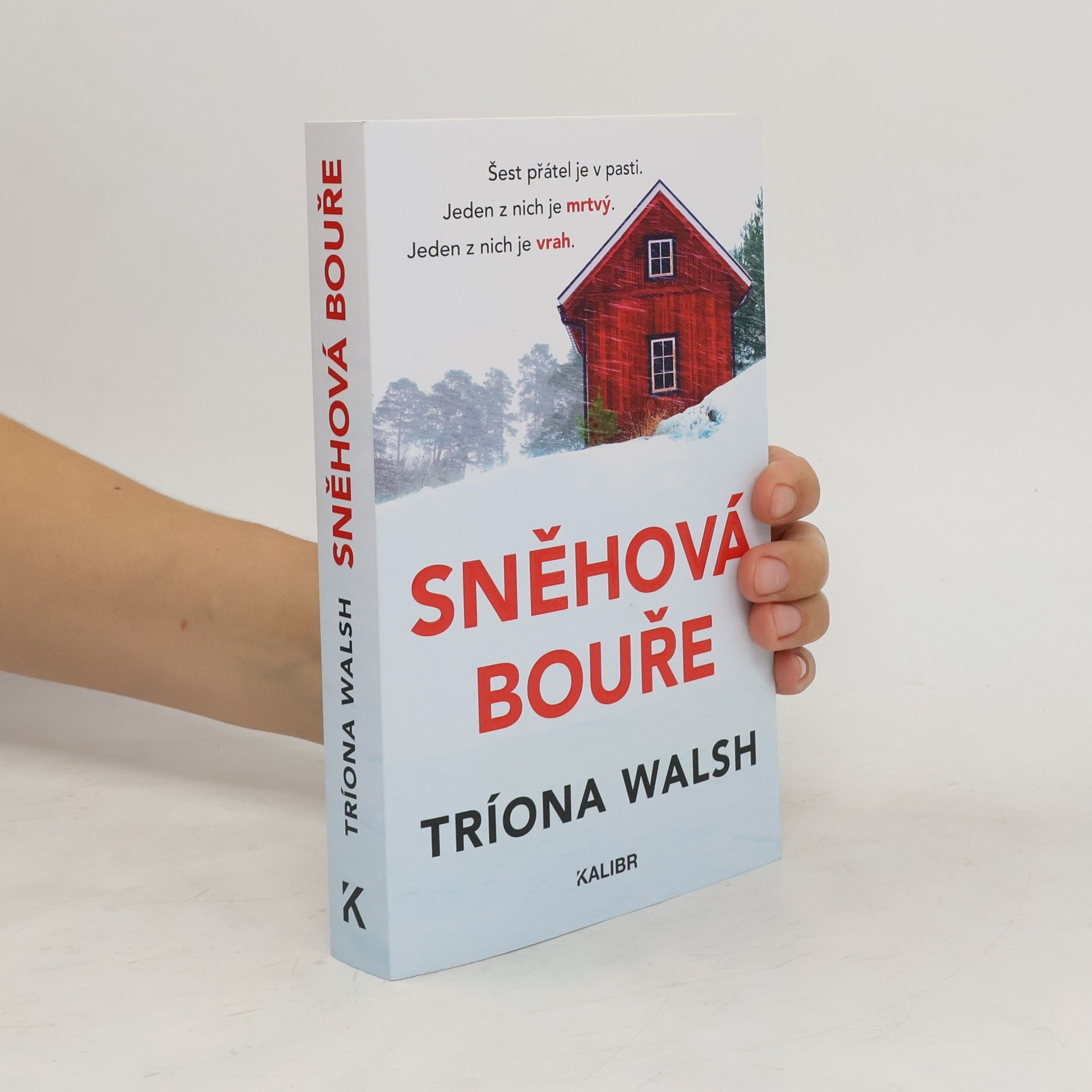 Tríona Walsh Sněhová bouře