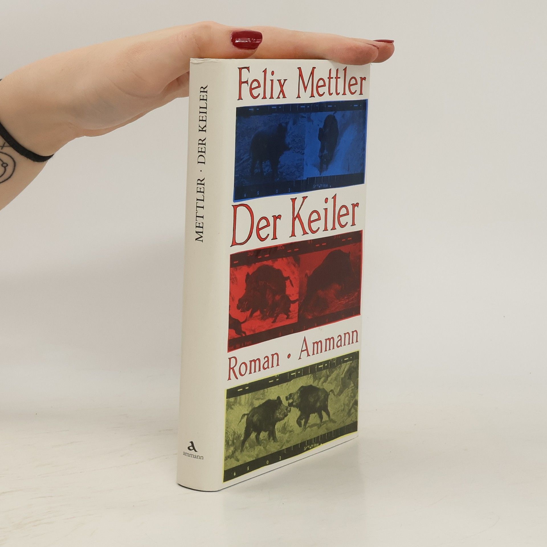 Felix Mettler Der Keiler