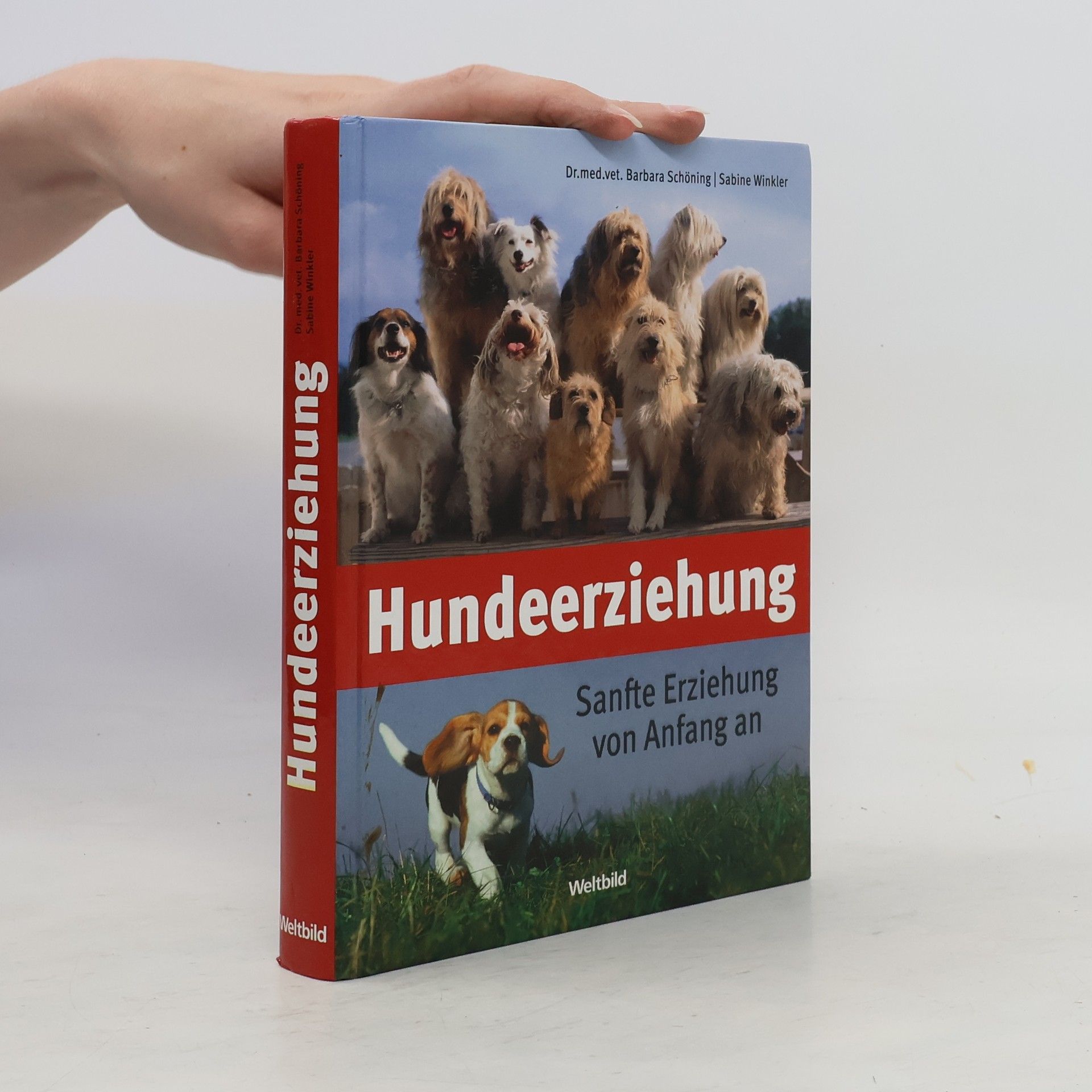 Barbara Schöning Hundeerziehung