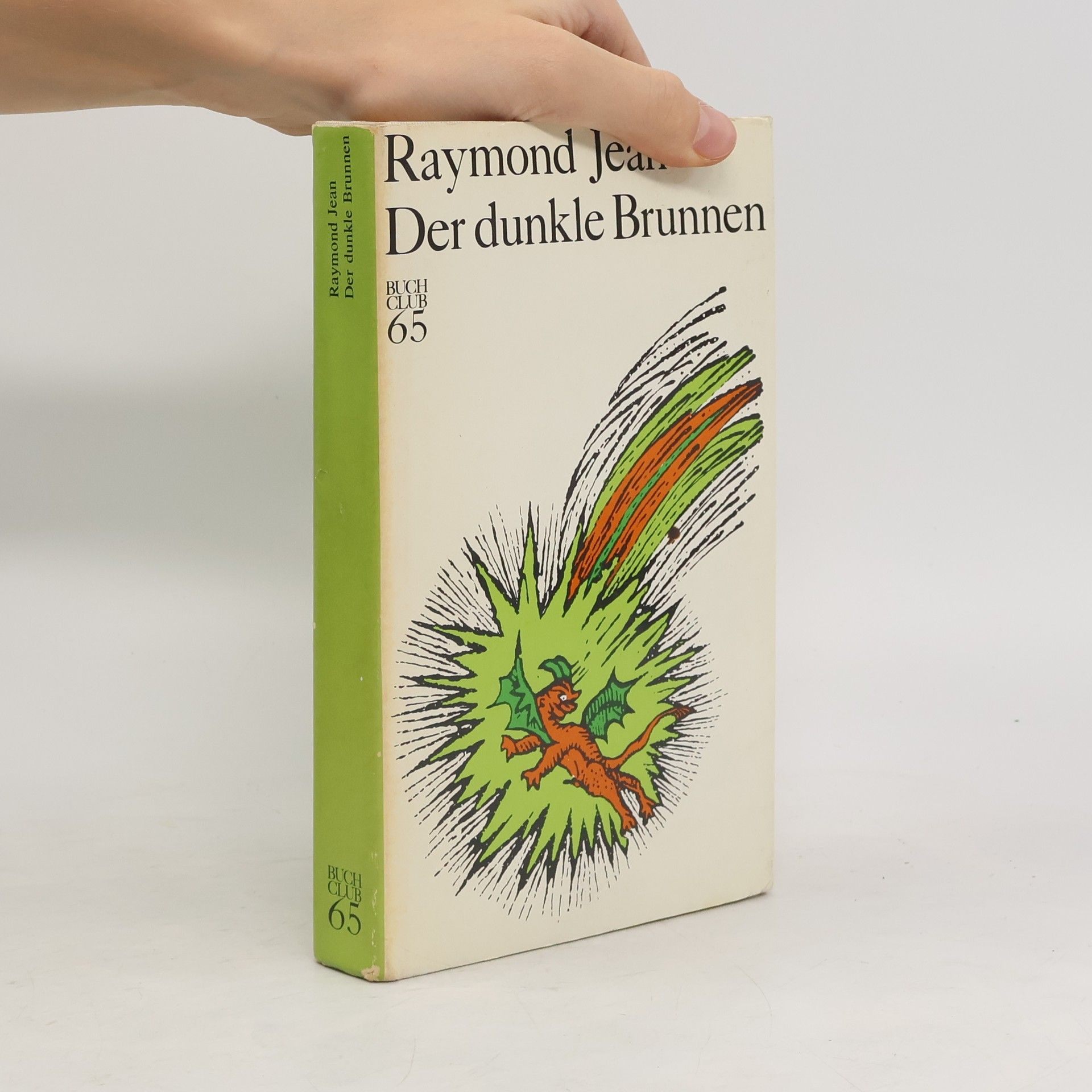 Raymond Jean Der dunkle Brunnen