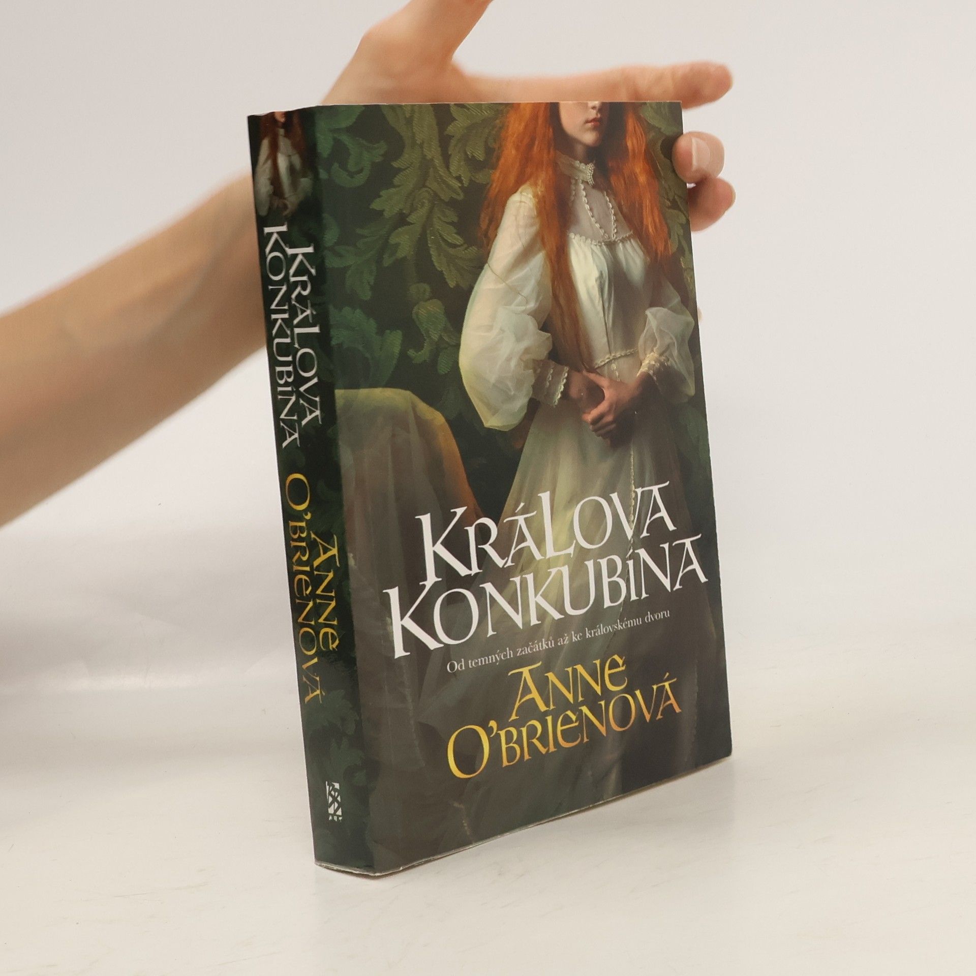 Anne O. Brien Králova konkubína