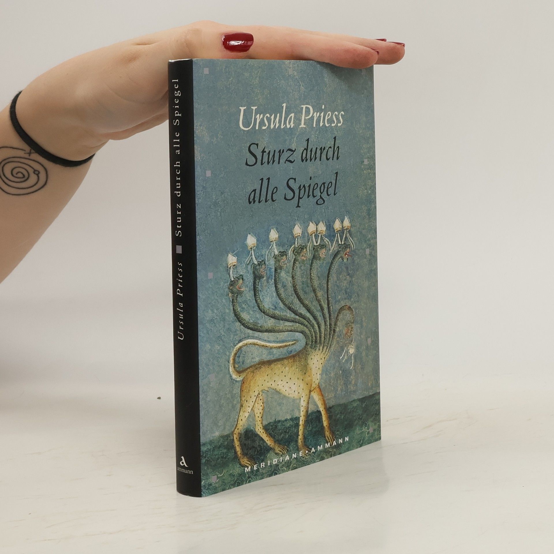 Ursula Priess Sturz durch alle Spiegel