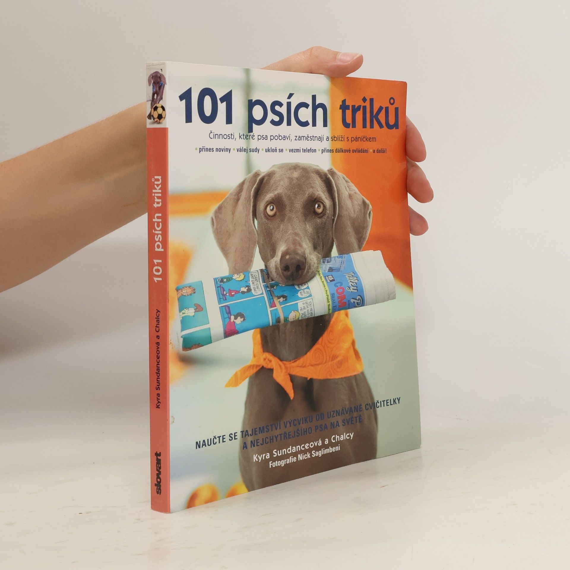 Kyra Sundance 101 psích triků : činnosti, které psa pobaví, zaměstnají a sblíží s páníčkem - krok za krokem