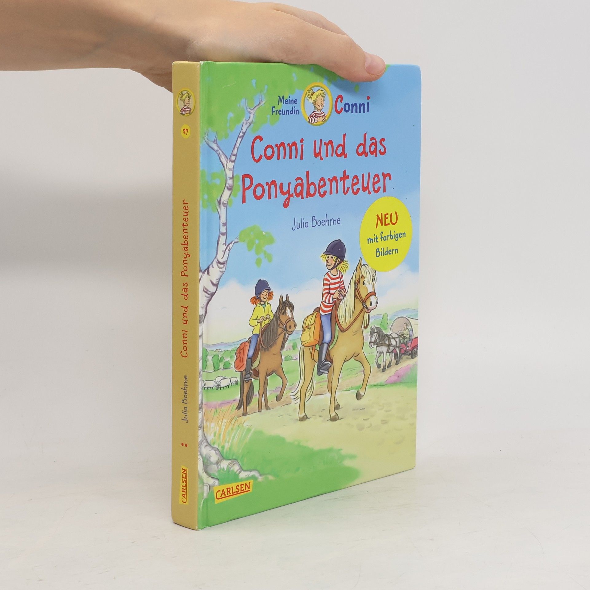 Julia Boehme Conni und das Ponyabenteuer