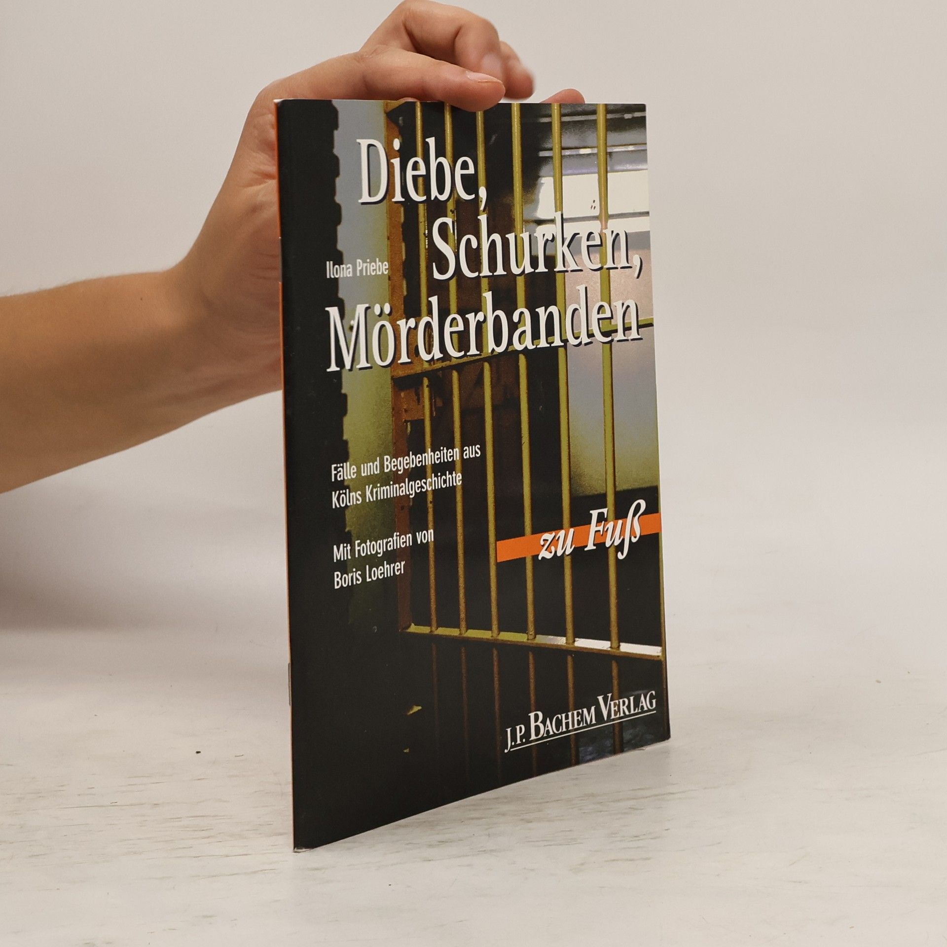 Ilona Priebe Diebe, Schurken, Mörderbanden