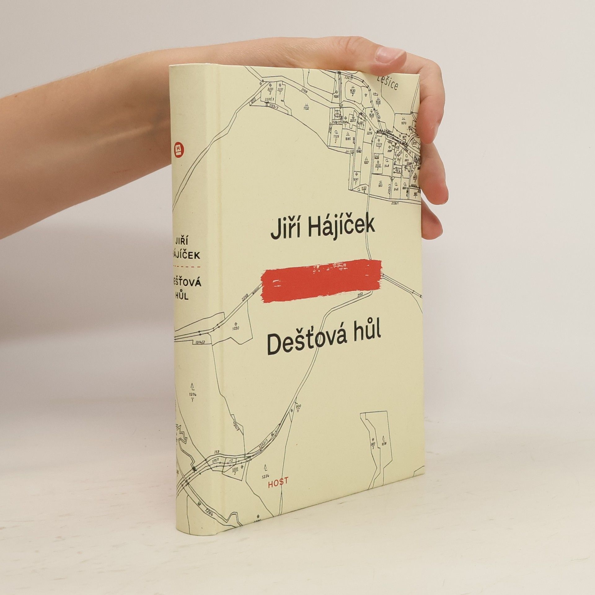 Jiří Hájíček Dešťová hůl