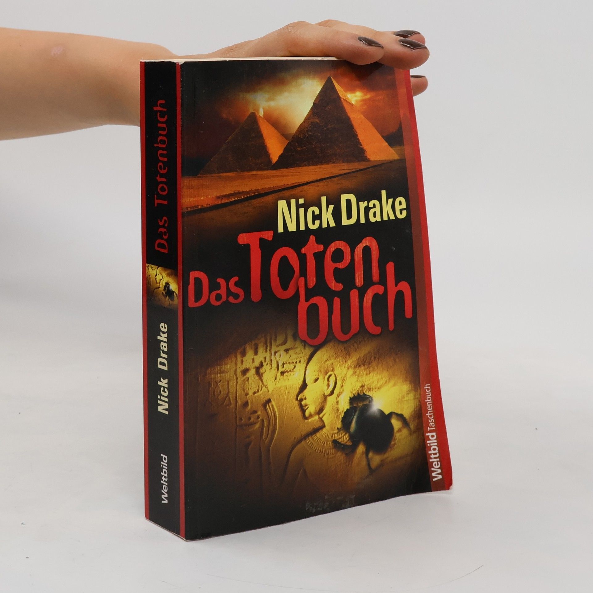 Nick Drake Das Totenbuch